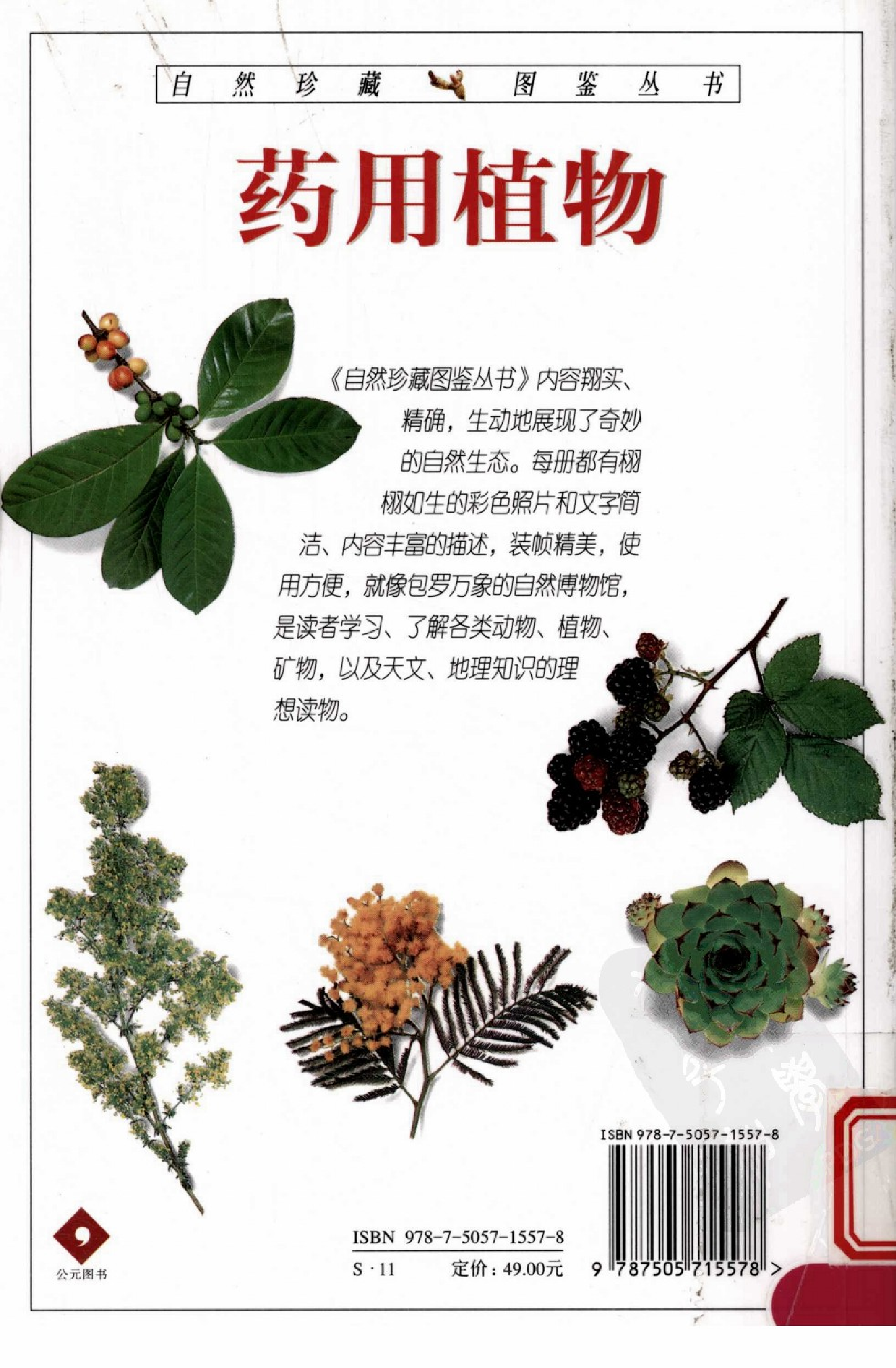 自然珍藏图鉴丛书·药用植物：全世界700多种药用植物的彩色图鉴.PDF 第2页