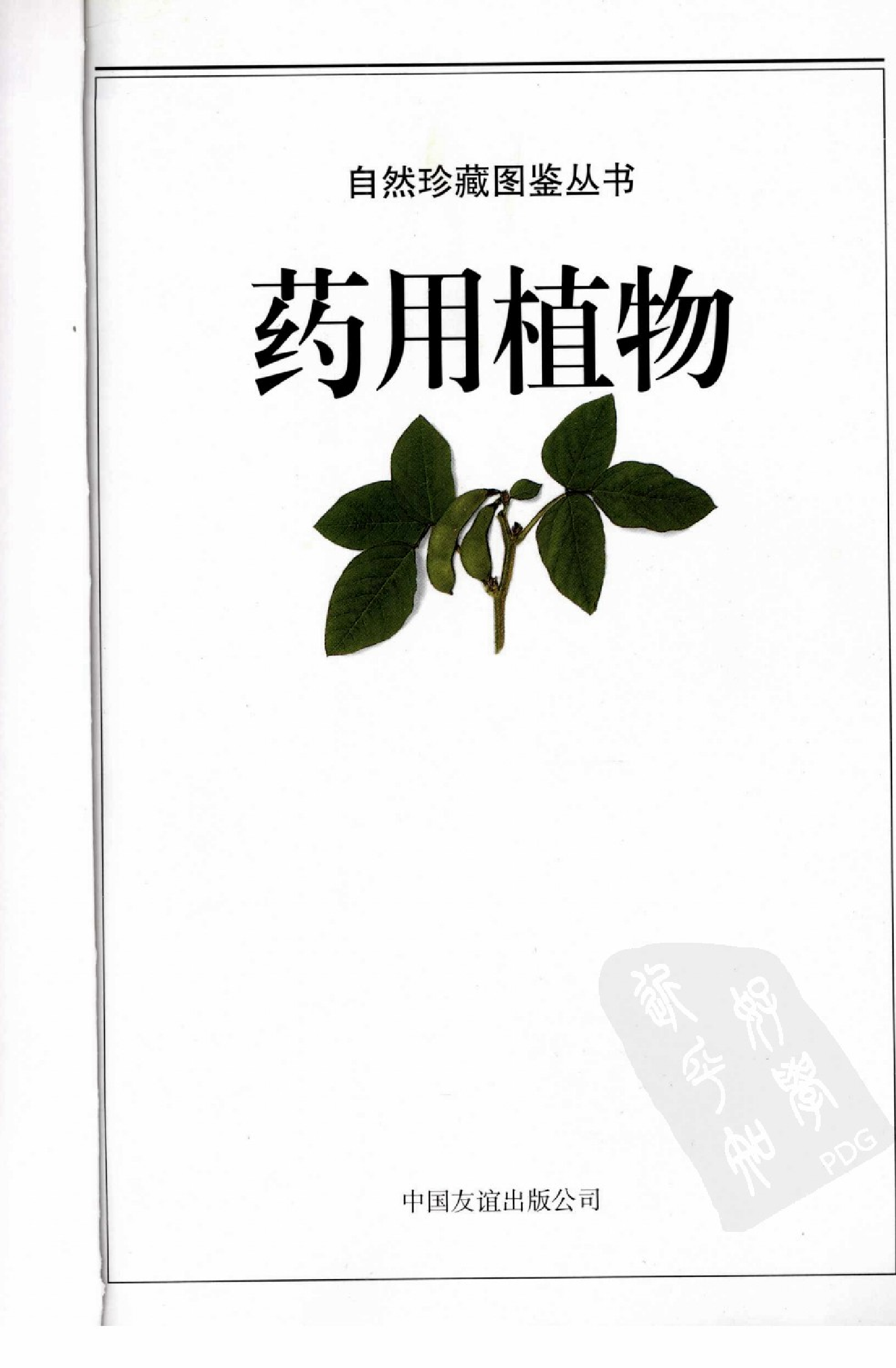 自然珍藏图鉴丛书·药用植物：全世界700多种药用植物的彩色图鉴.PDF 第3页