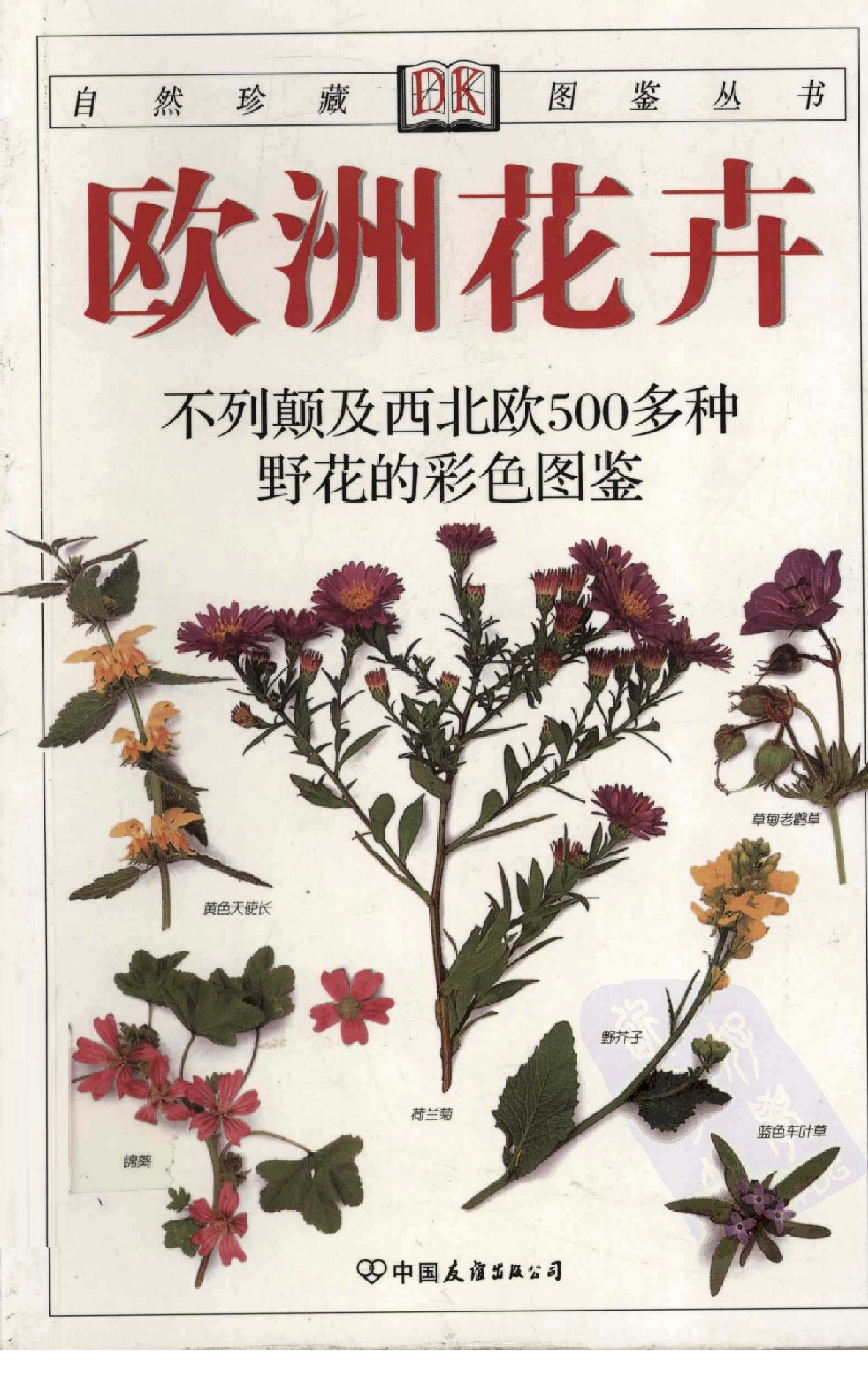 自然珍藏图鉴丛书·欧洲花卉：不列颠及西北欧500多种野花的彩色图鉴.pdf 第1页