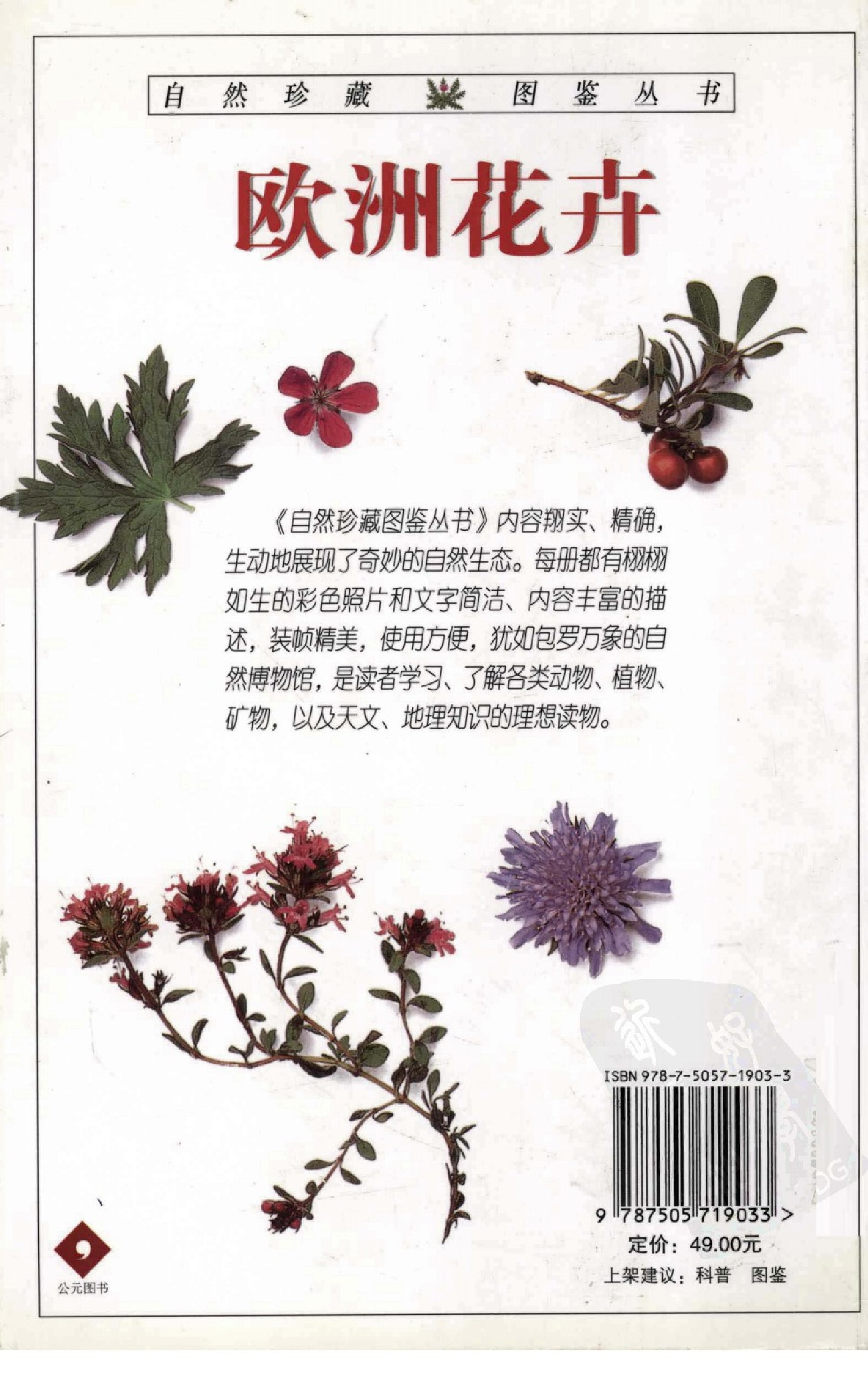 自然珍藏图鉴丛书·欧洲花卉：不列颠及西北欧500多种野花的彩色图鉴.pdf 第2页