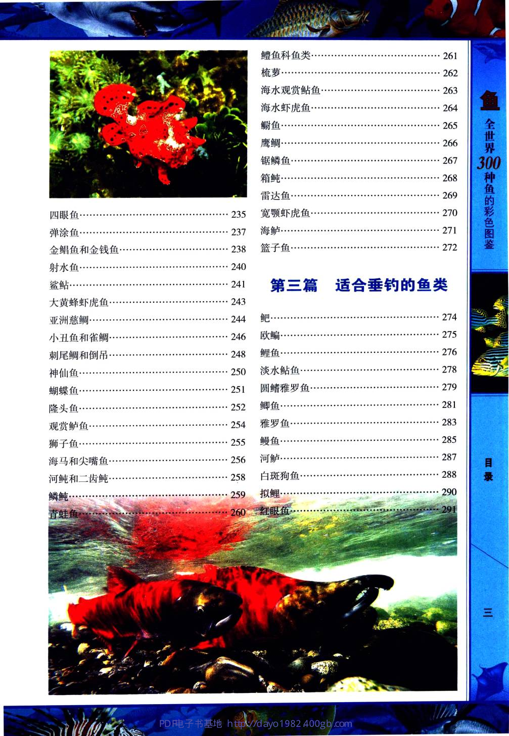 鱼：全世界300种鱼的彩色图鉴 .pdf 第6页
