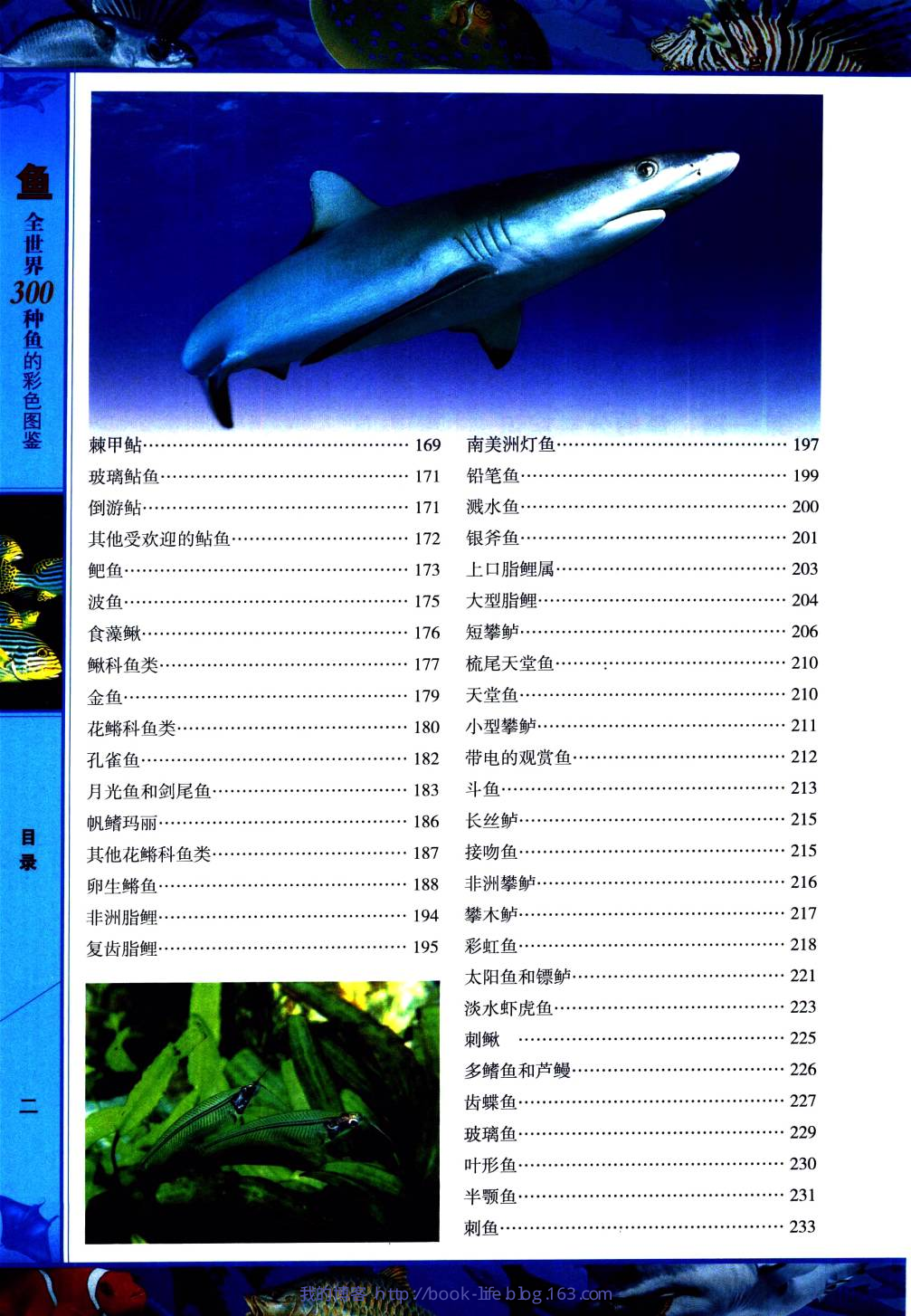 [鱼：全世界300种鱼的彩色图鉴].鲁中石.全彩版.pdf 第5页