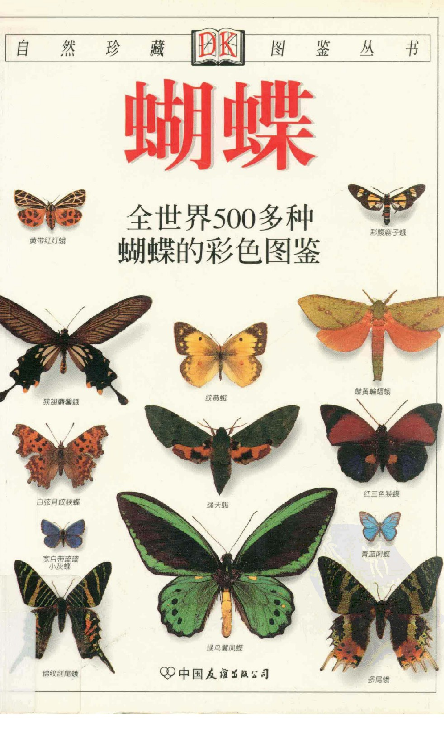 自然珍藏图鉴丛书·蝴蝶：全世界500多种蝴蝶的彩色图鉴.pdf 第1页