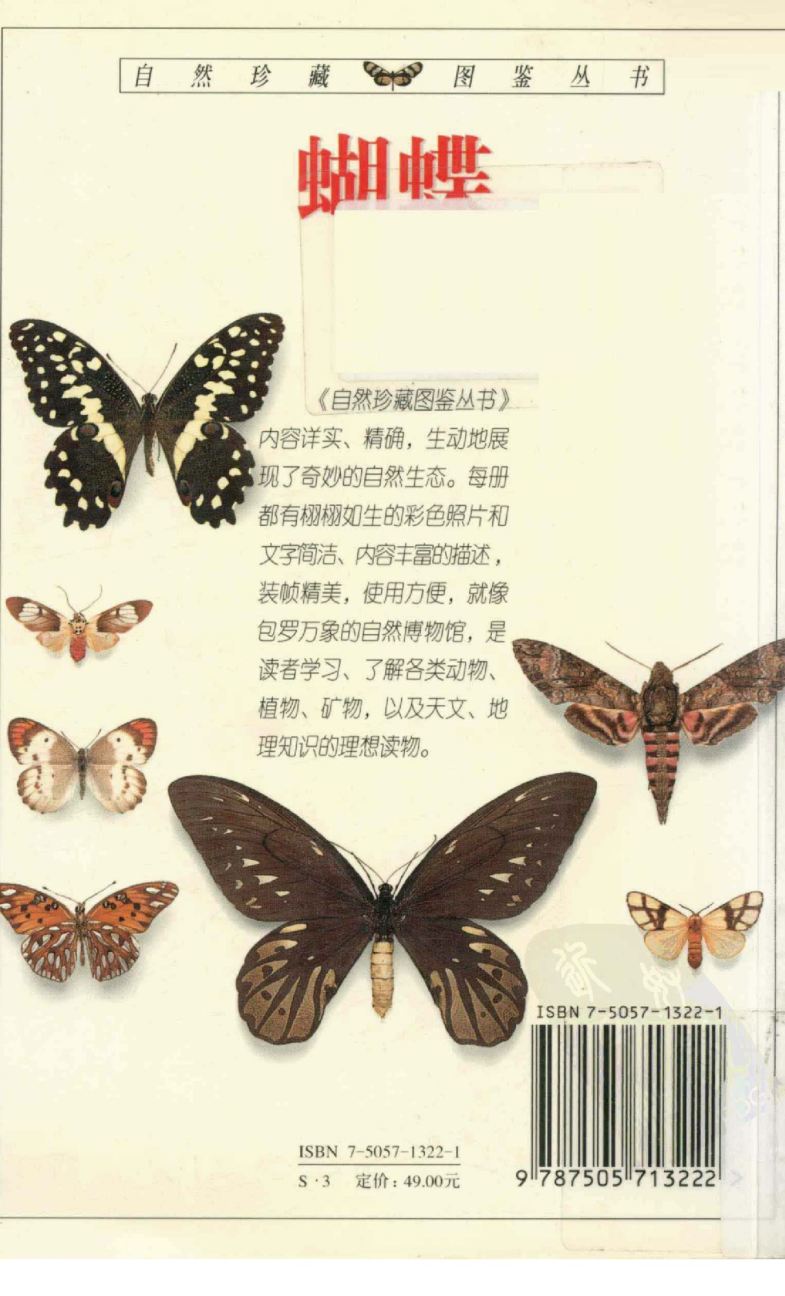 [蝴蝶：全世界500多种蝴蝶的彩色图鉴].大卫卡特.全彩版.pdf 第2页