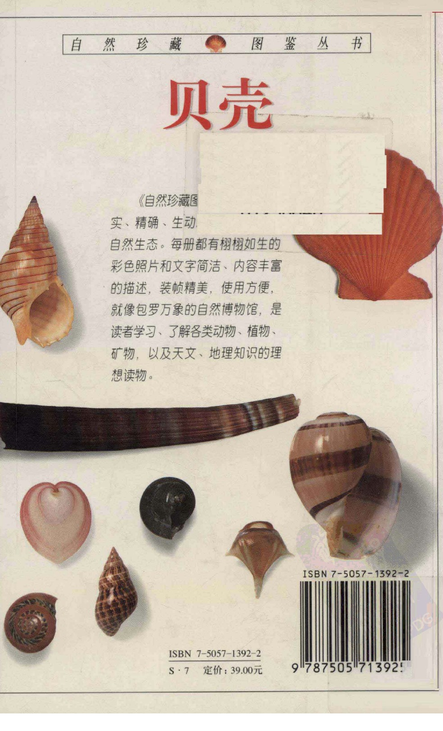 自然珍藏图鉴丛书·贝壳：全世界500多种贝壳的彩色图鉴.PDF 第2页