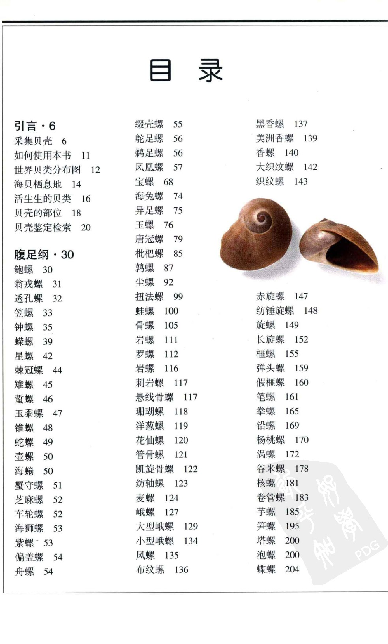 自然珍藏图鉴丛书·贝壳：全世界500多种贝壳的彩色图鉴.PDF 第6页
