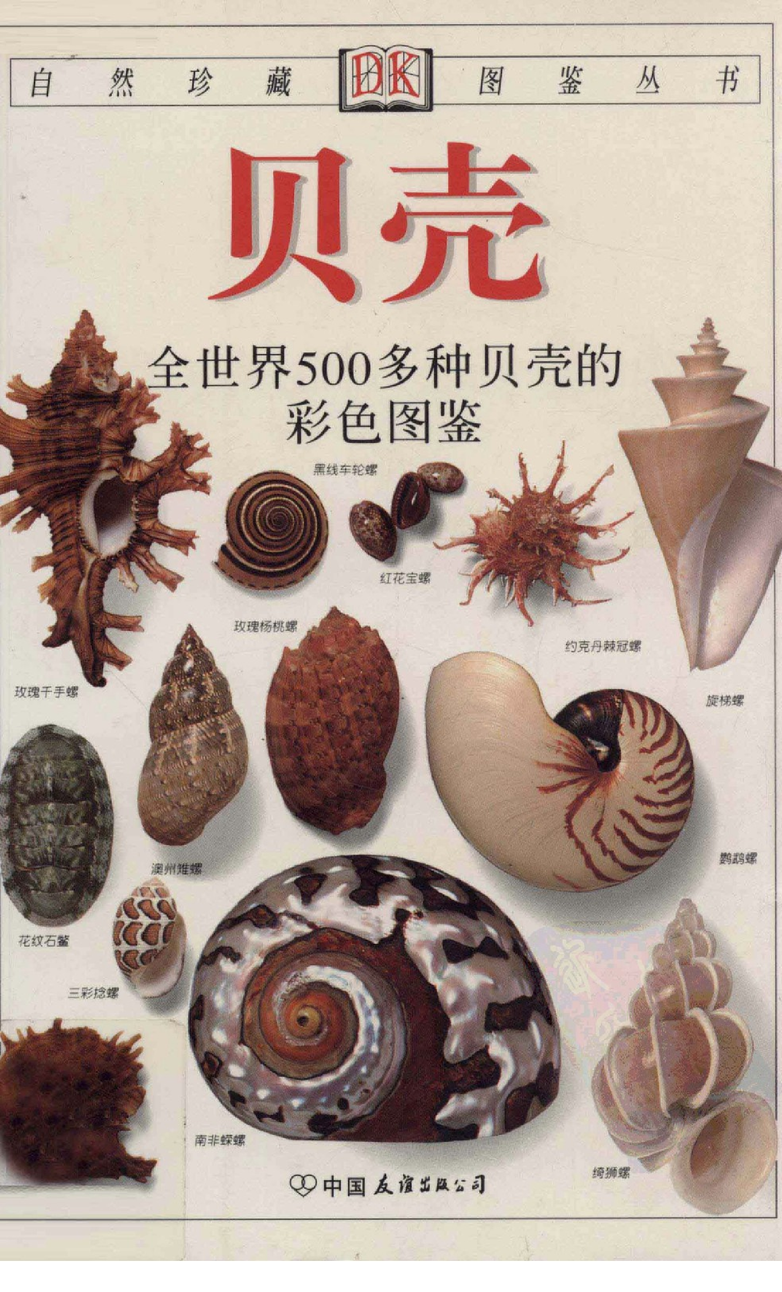 贝壳：全世界500多种贝壳的彩色图鉴.PDF 第1页