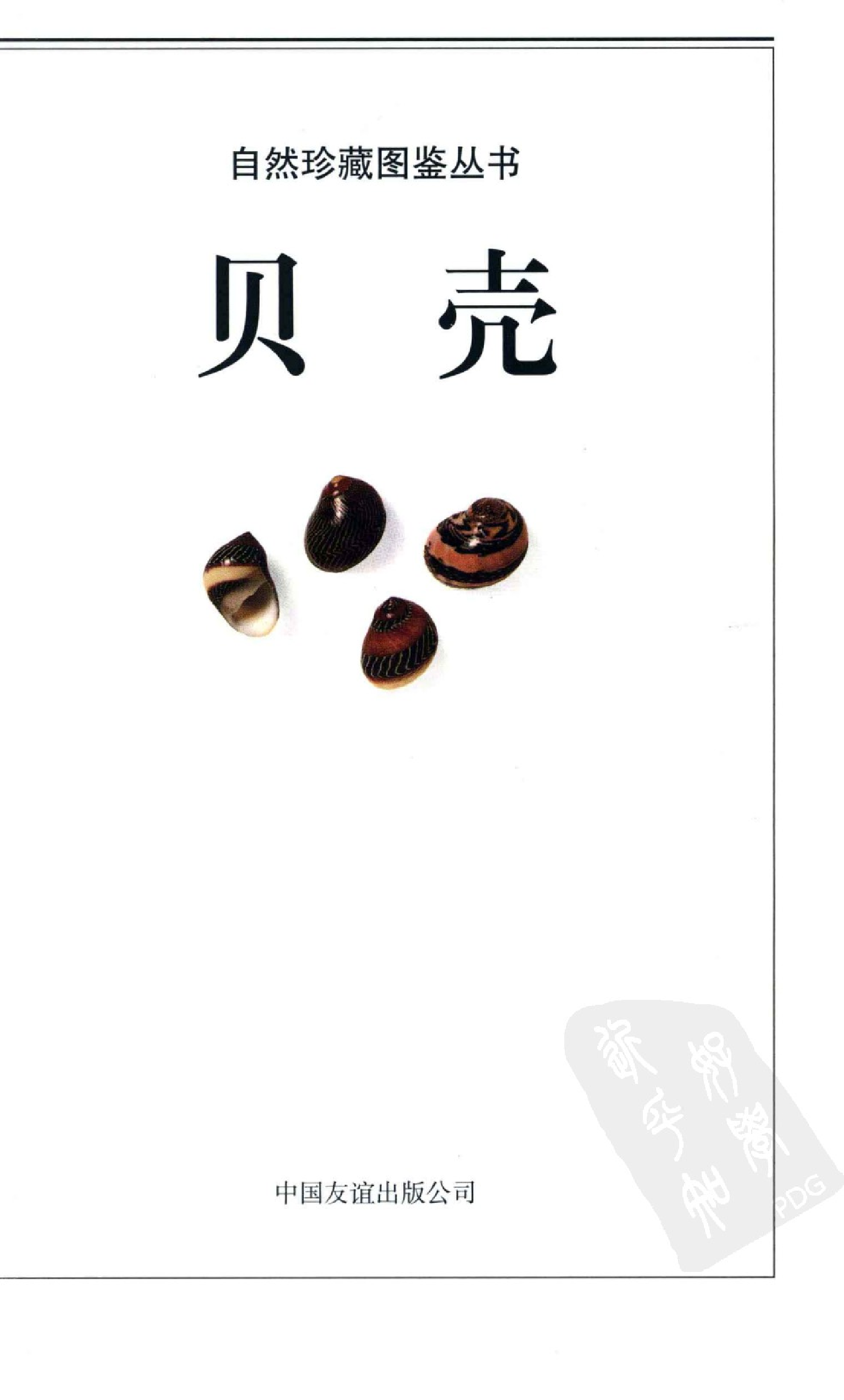 [贝壳图鉴].PDF 第3页