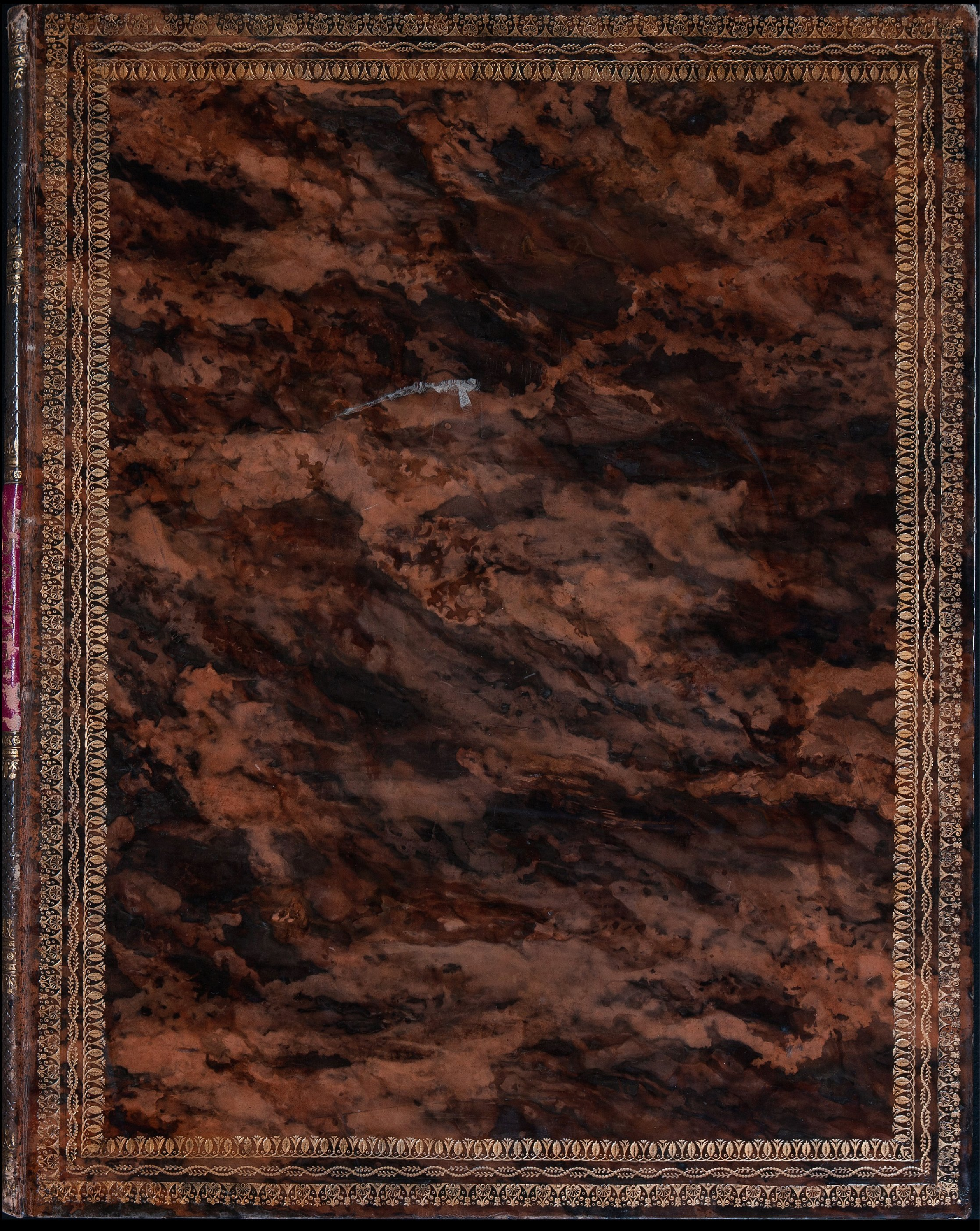 野鸡雉科图鉴1872年.pdf 第1页