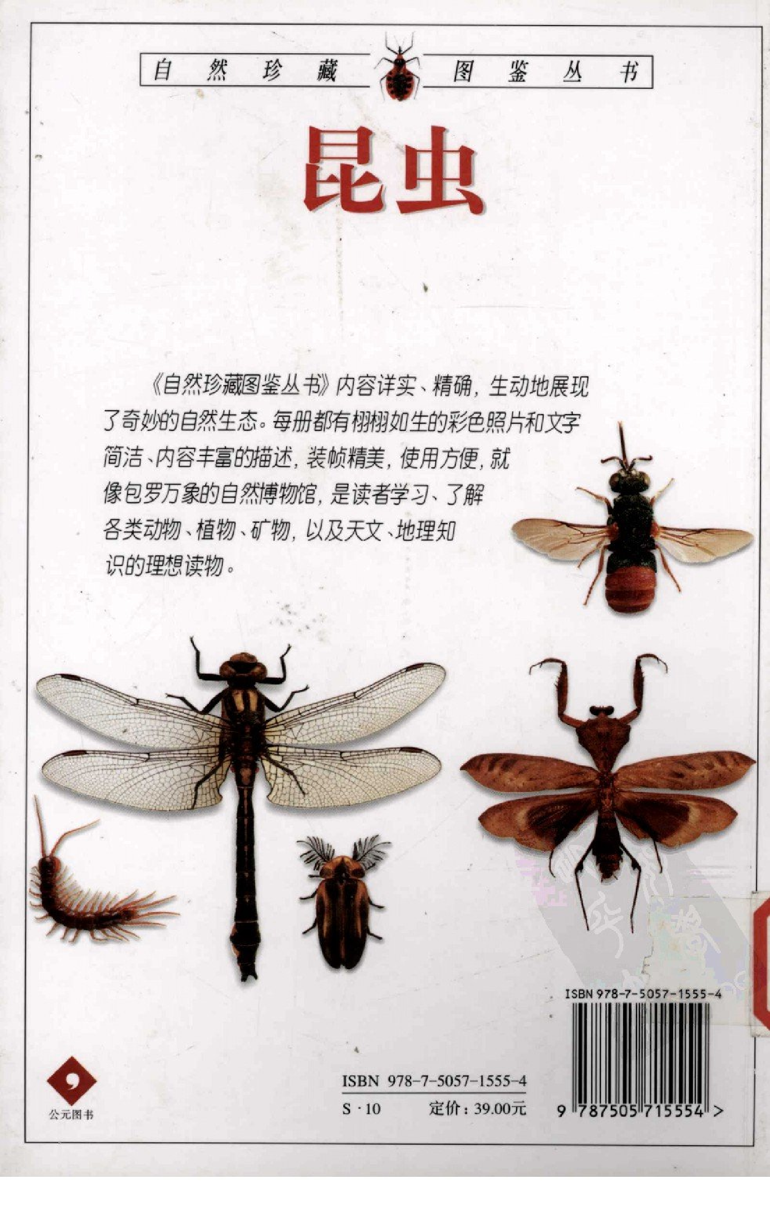 [昆虫：全世界550多种昆虫、蜘蛛和陆生节肢动物的彩色图鉴].王琛柱.全彩版.PDF 第2页