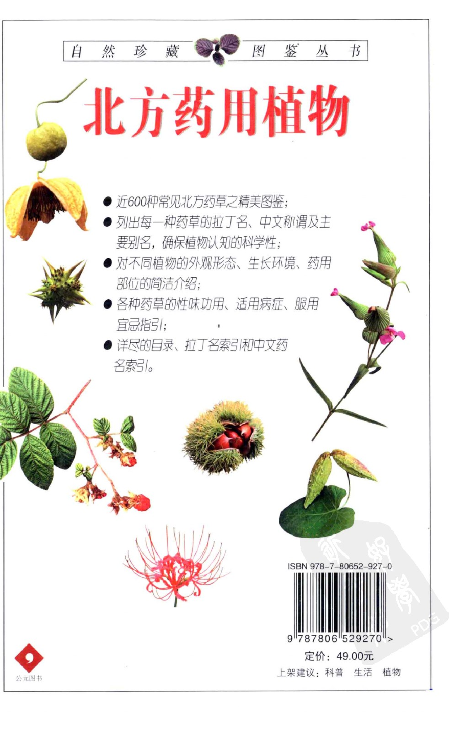 自然珍藏图鉴丛书·北方药用植物：近600种中国北方药用植物的彩色图鉴.pdf 第2页