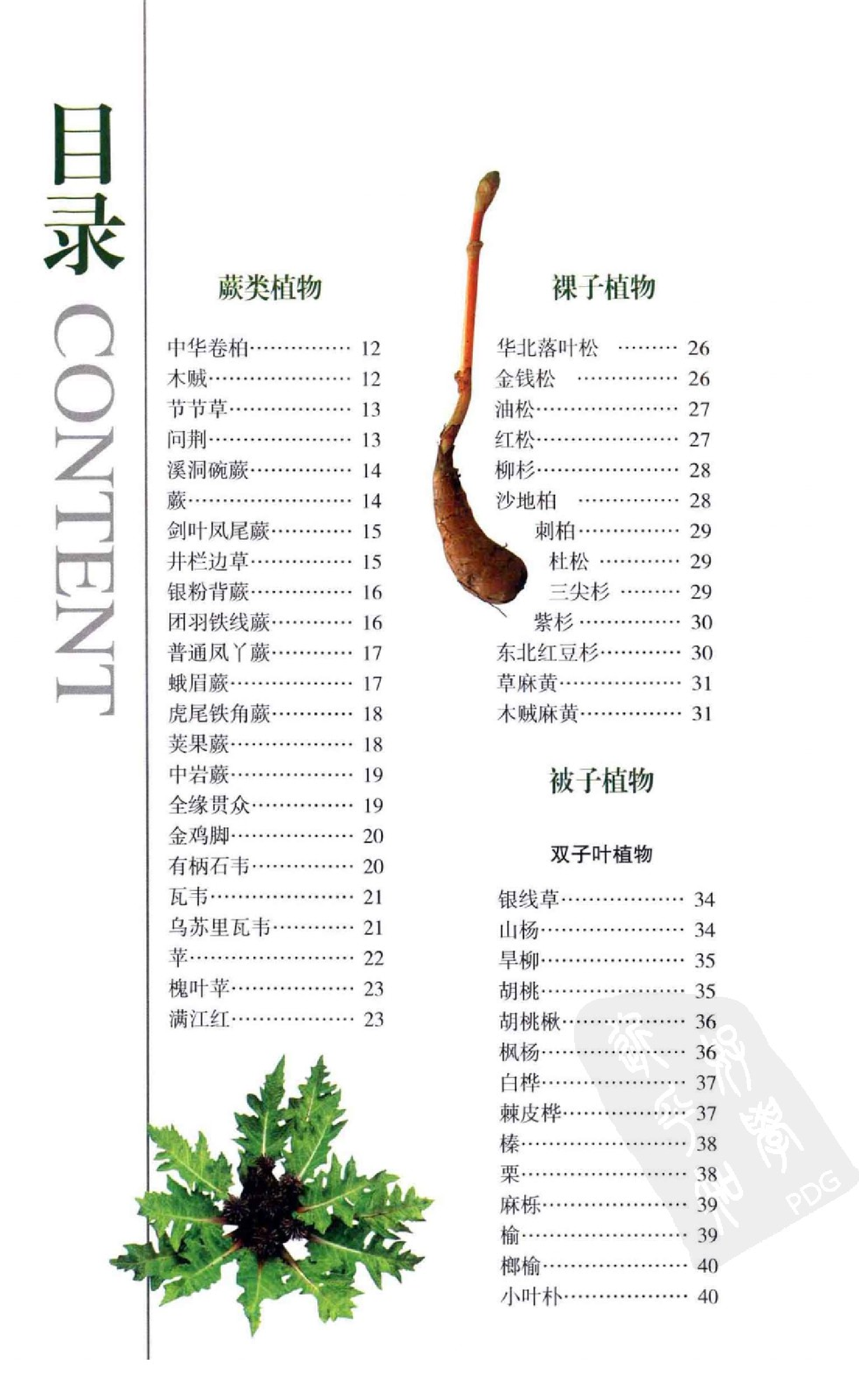 自然珍藏图鉴丛书·北方药用植物：近600种中国北方药用植物的彩色图鉴.pdf 第6页