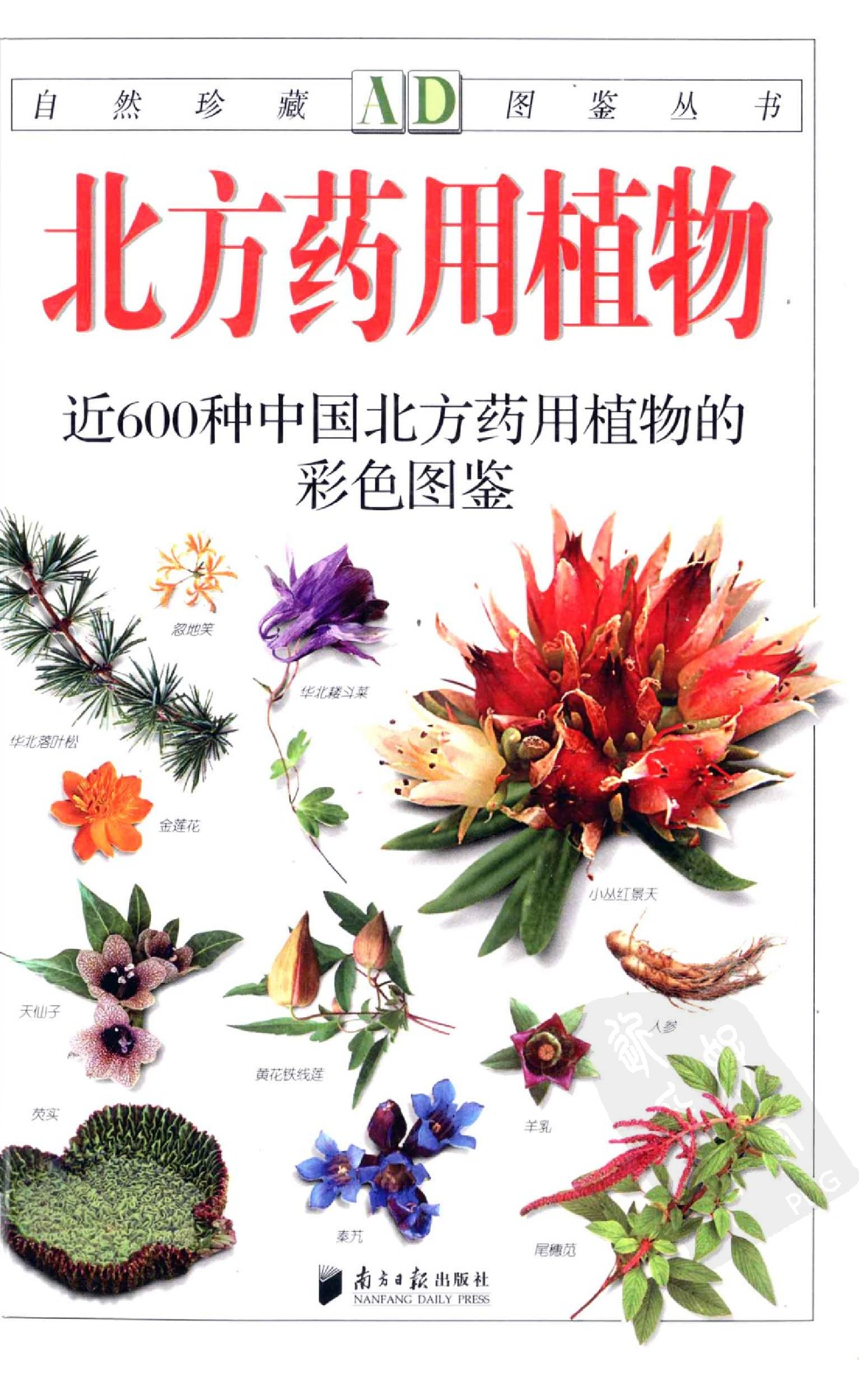 北方药用植物图鉴.pdf 第1页