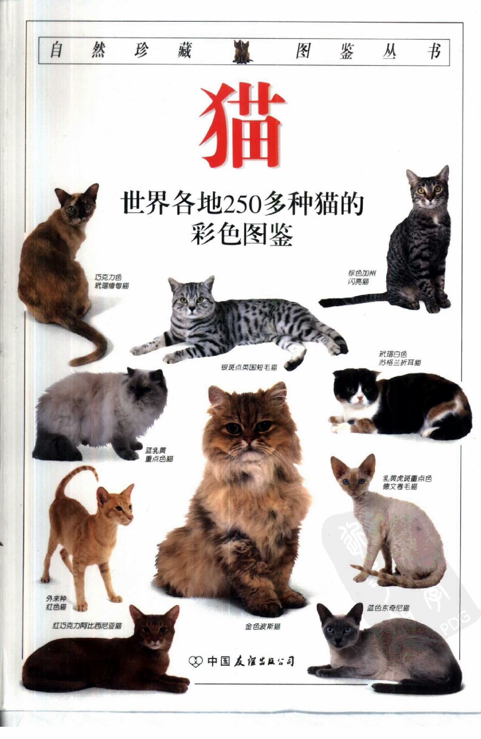 自然珍藏图鉴丛书·猫：全世界250多种猫的彩色图鉴.pdf 第1页