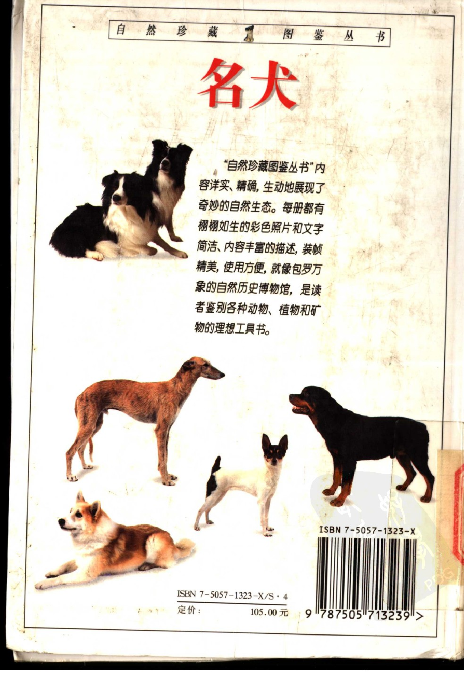 自然珍藏图鉴丛书·名犬：全世界300多种名犬的彩色图鉴.pdf 第2页