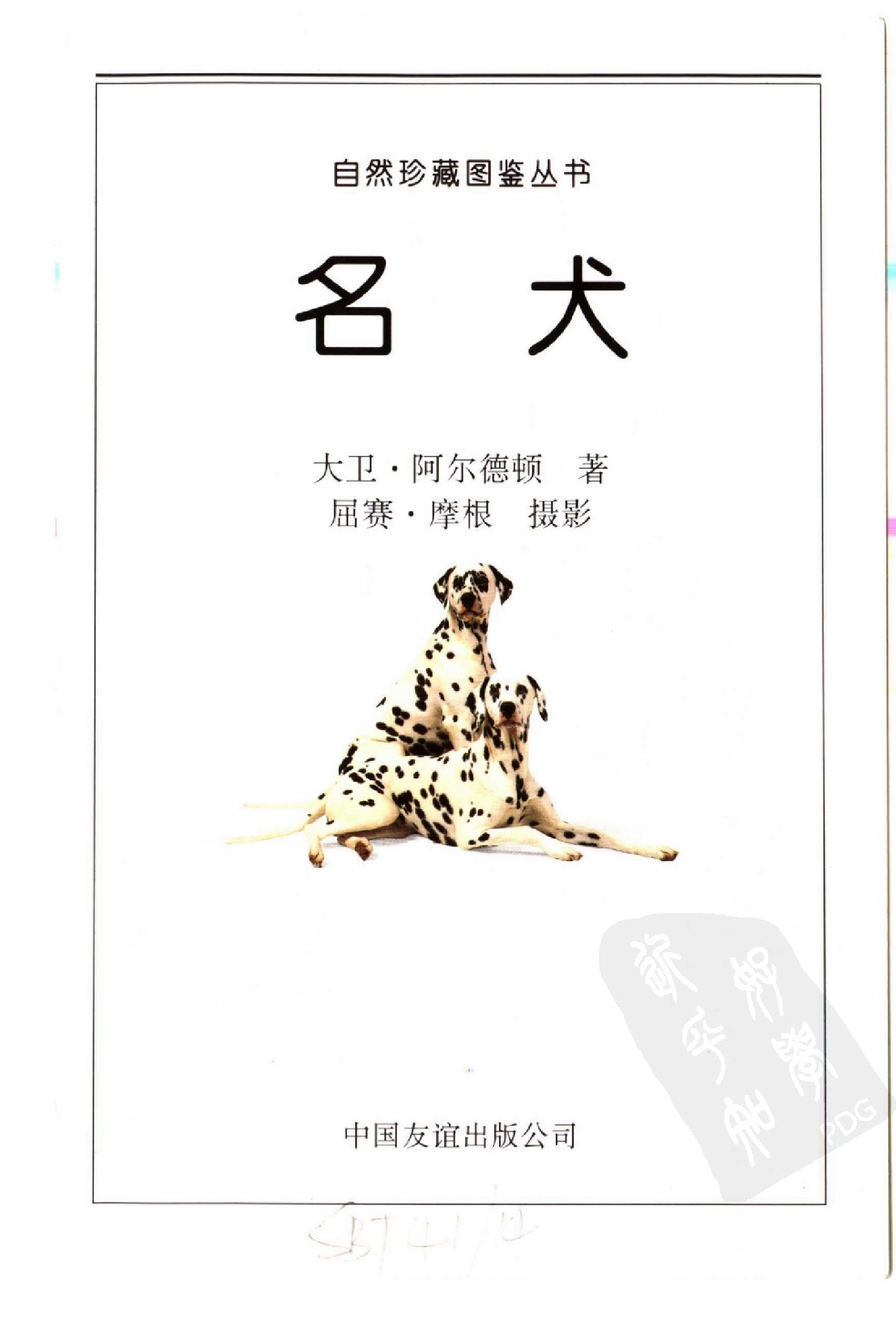 自然珍藏图鉴丛书·名犬：全世界300多种名犬的彩色图鉴.pdf 第6页