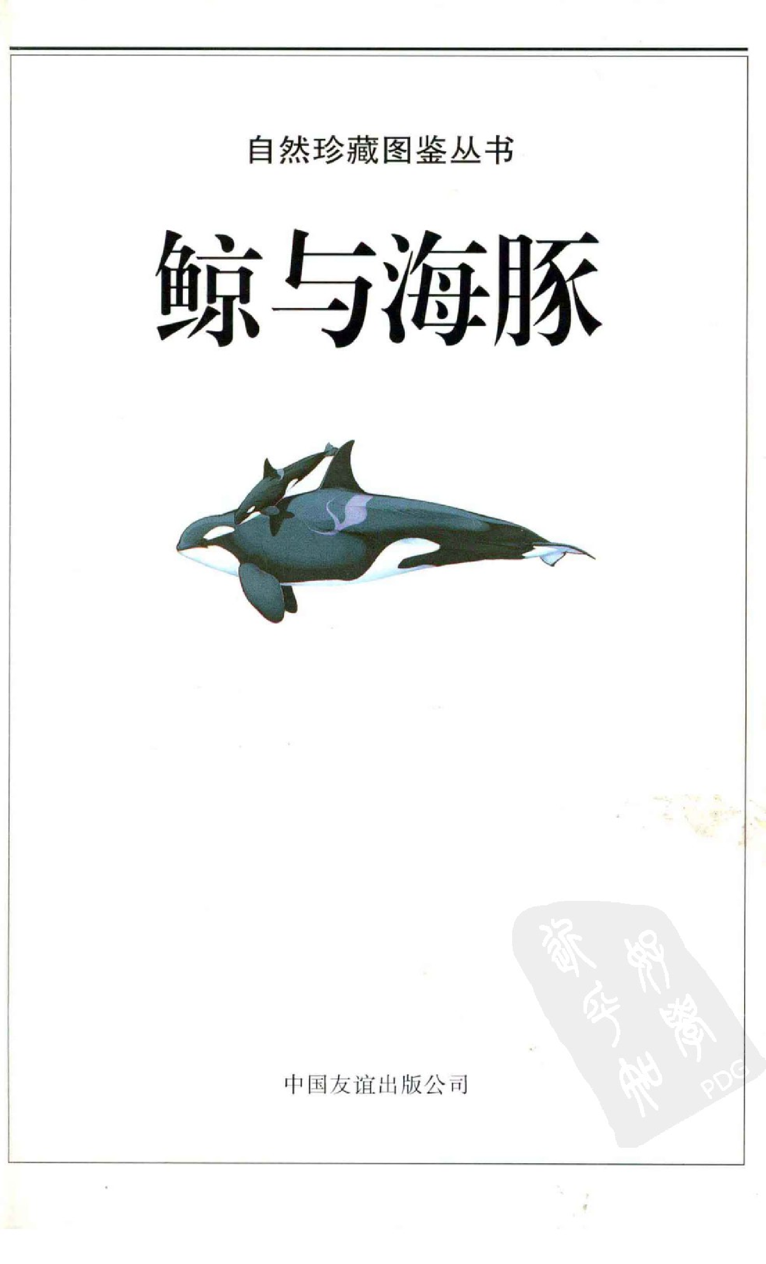 [鲸与海豚图鉴].pdf 第4页