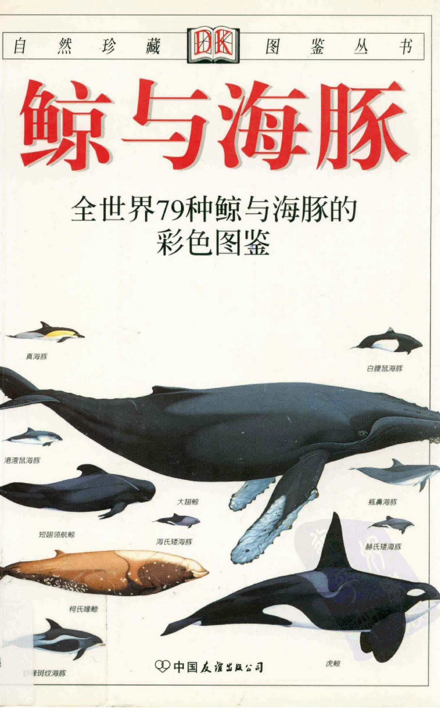 [鲸与海豚：全世界79种鲸与海豚的彩色图鉴].卡沃尔廷.全彩版.pdf 第1页