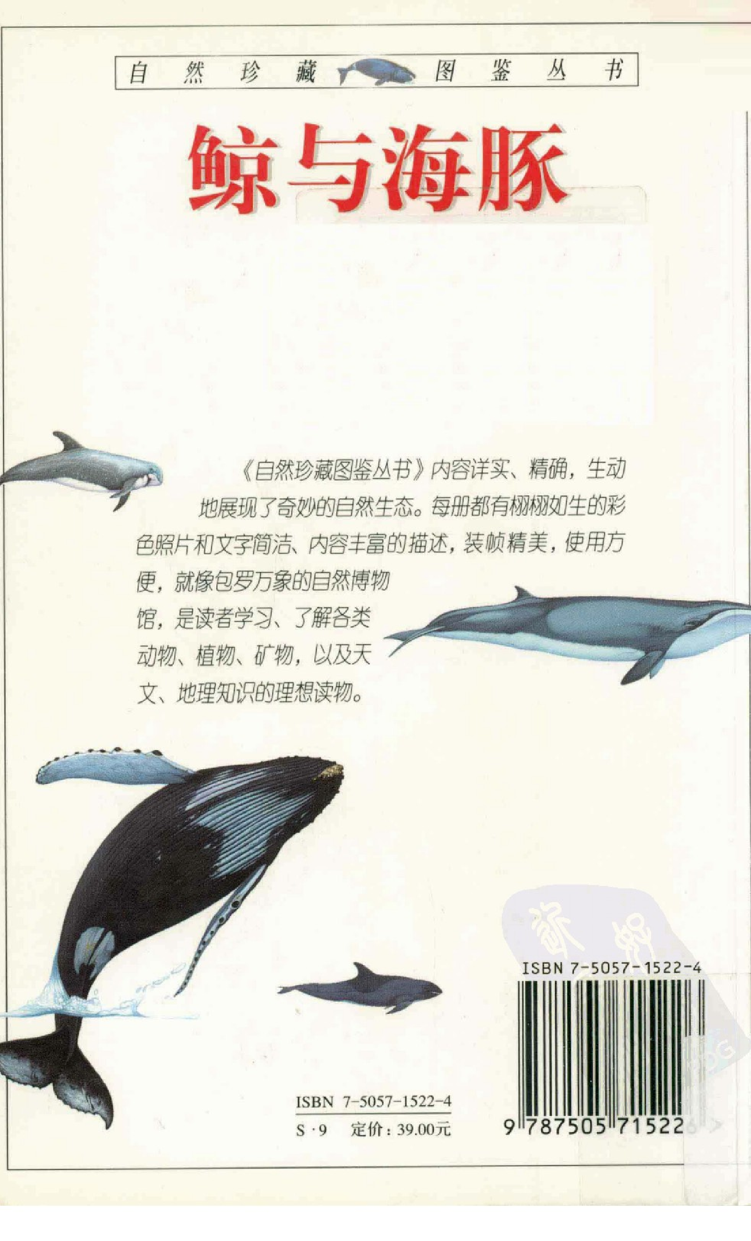 [鲸与海豚：全世界79种鲸与海豚的彩色图鉴].卡沃尔廷.全彩版.pdf 第3页