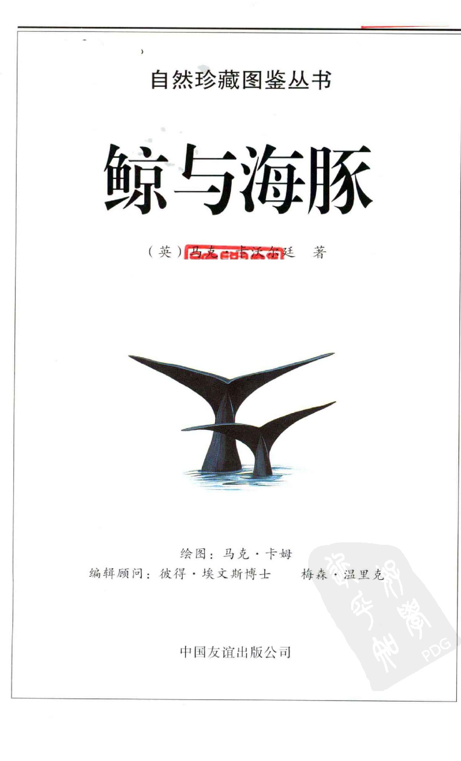 [鲸与海豚：全世界79种鲸与海豚的彩色图鉴].卡沃尔廷.全彩版.pdf 第6页