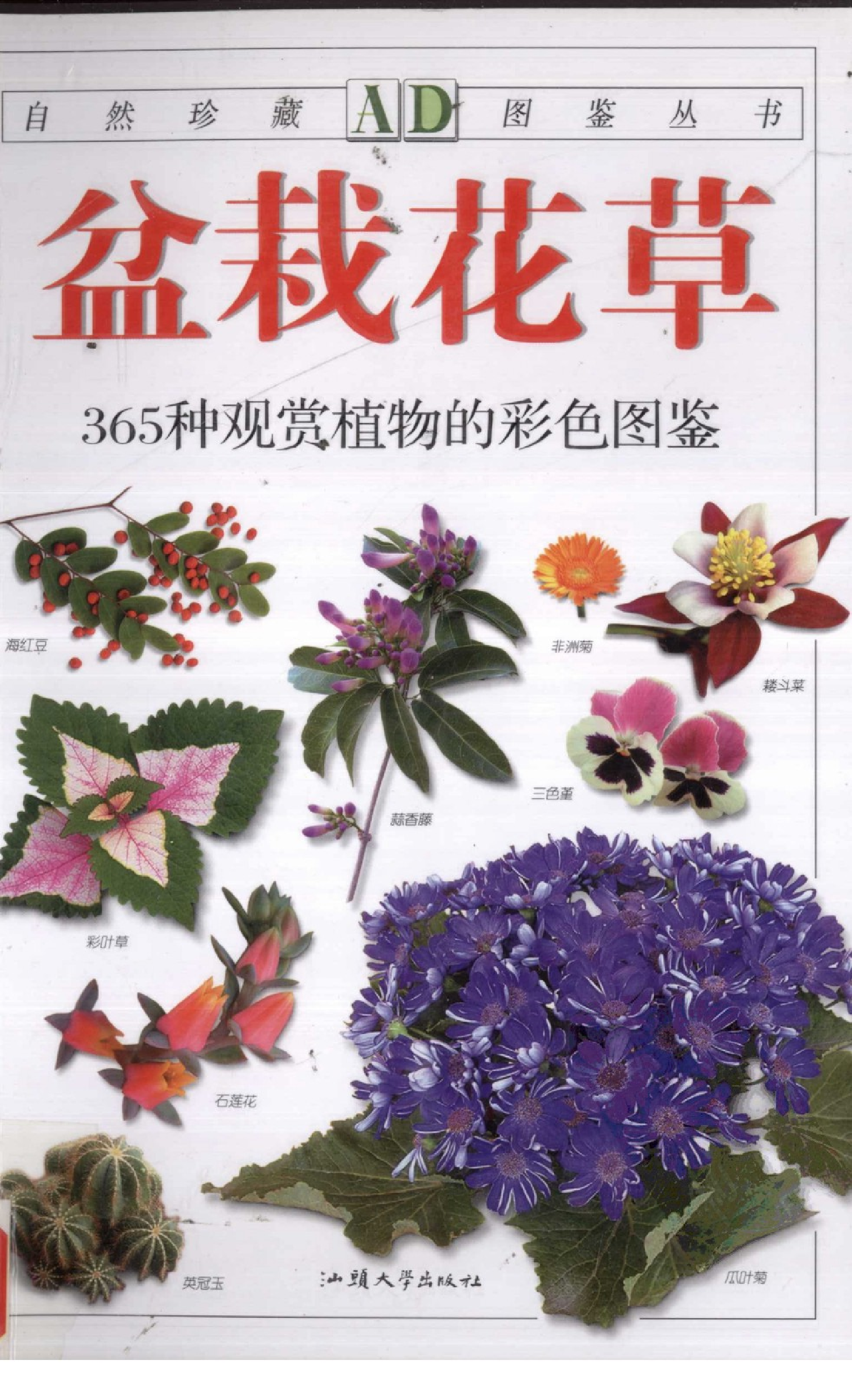 自然珍藏图鉴丛书·盆栽花草：365种观赏植物的彩色图鉴.pdf 第1页