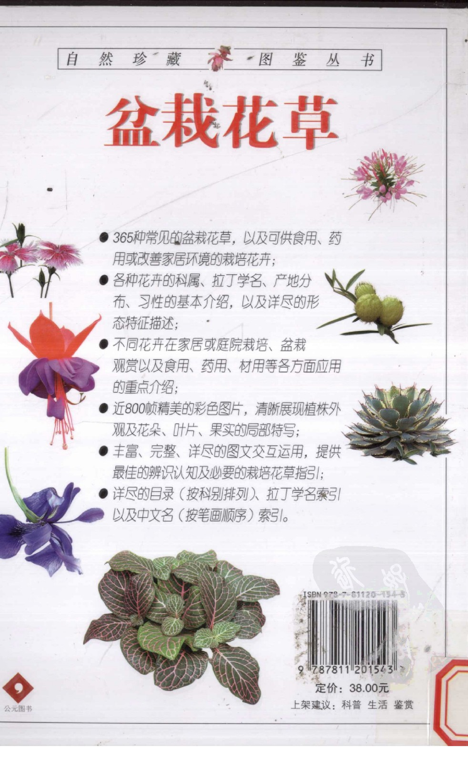 自然珍藏图鉴丛书·盆栽花草：365种观赏植物的彩色图鉴.pdf 第2页