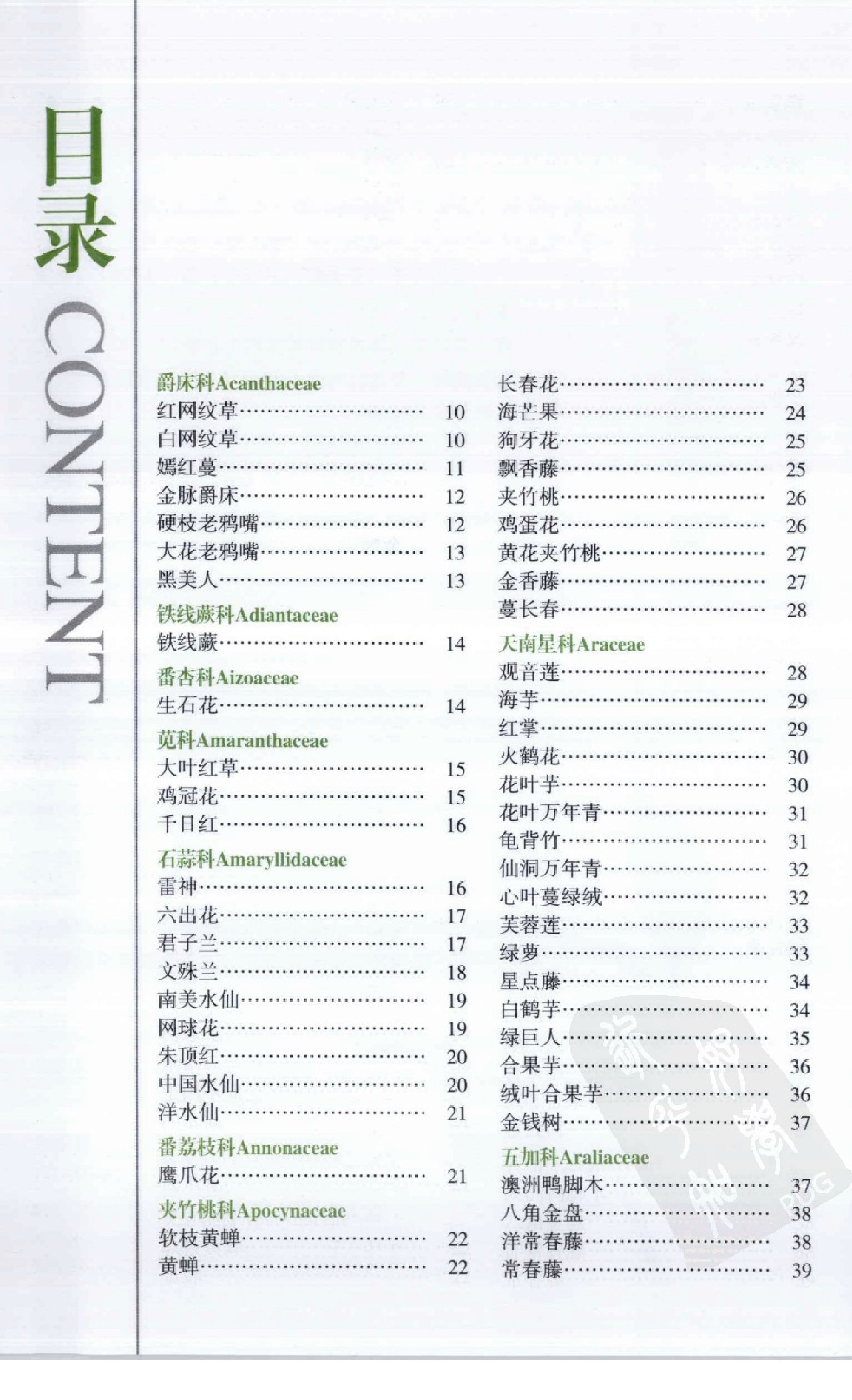 自然珍藏图鉴丛书·盆栽花草：365种观赏植物的彩色图鉴.pdf 第6页