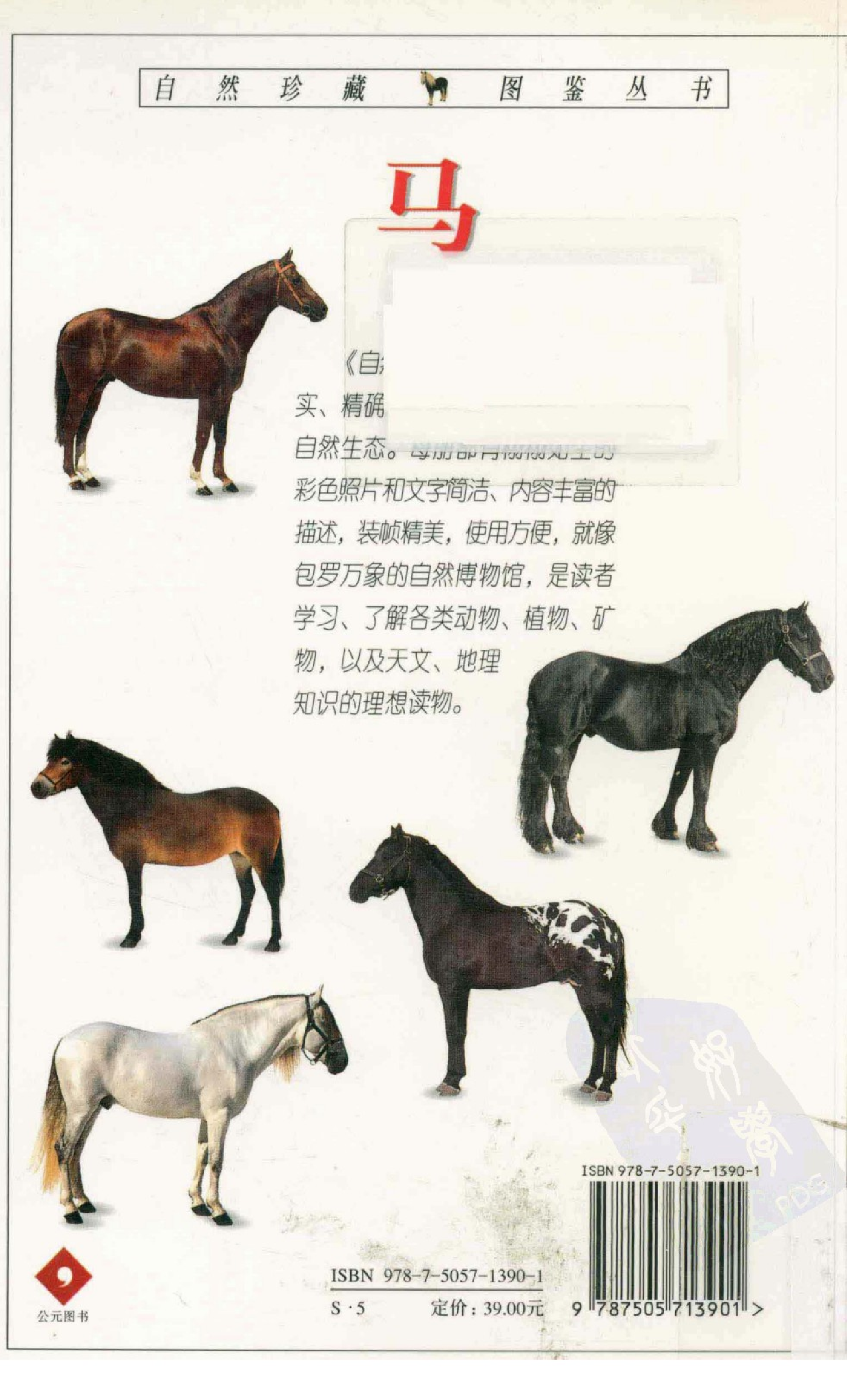 自然珍藏图鉴丛书·马：全世界100多种马匹的彩色图鉴.pdf 第2页