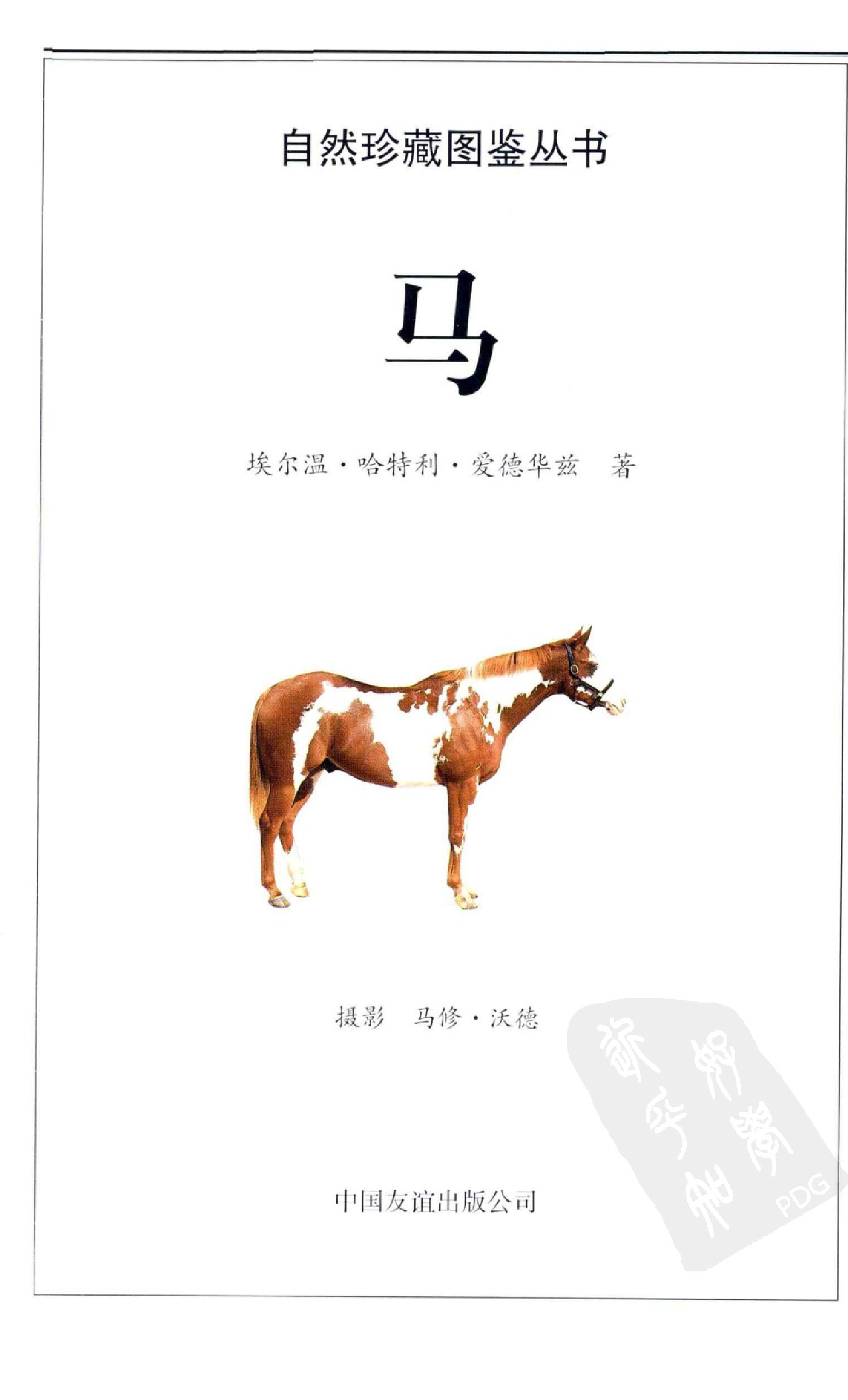 自然珍藏图鉴丛书·马：全世界100多种马匹的彩色图鉴.pdf 第5页