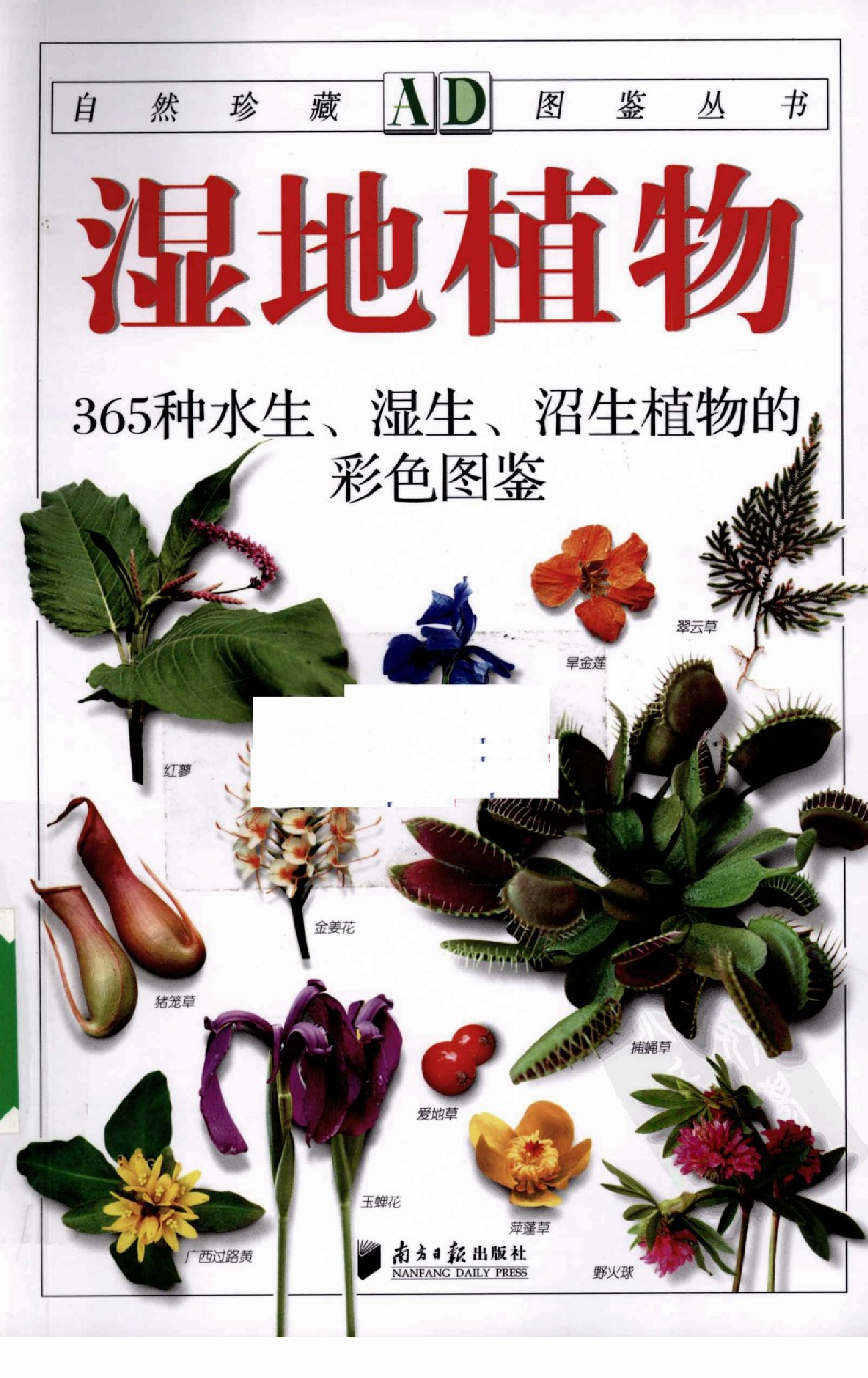 [湿地植物图鉴].pdf 第1页