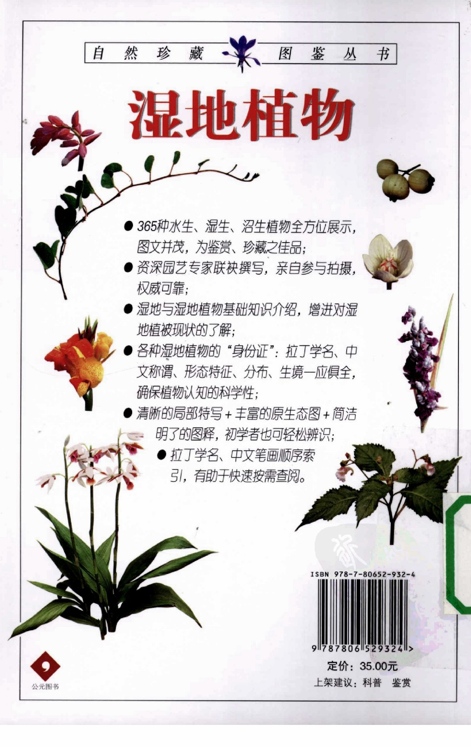 [湿地植物：365种水生、湿生、沼生植物的彩色图鉴].李强.全彩版.pdf 第3页