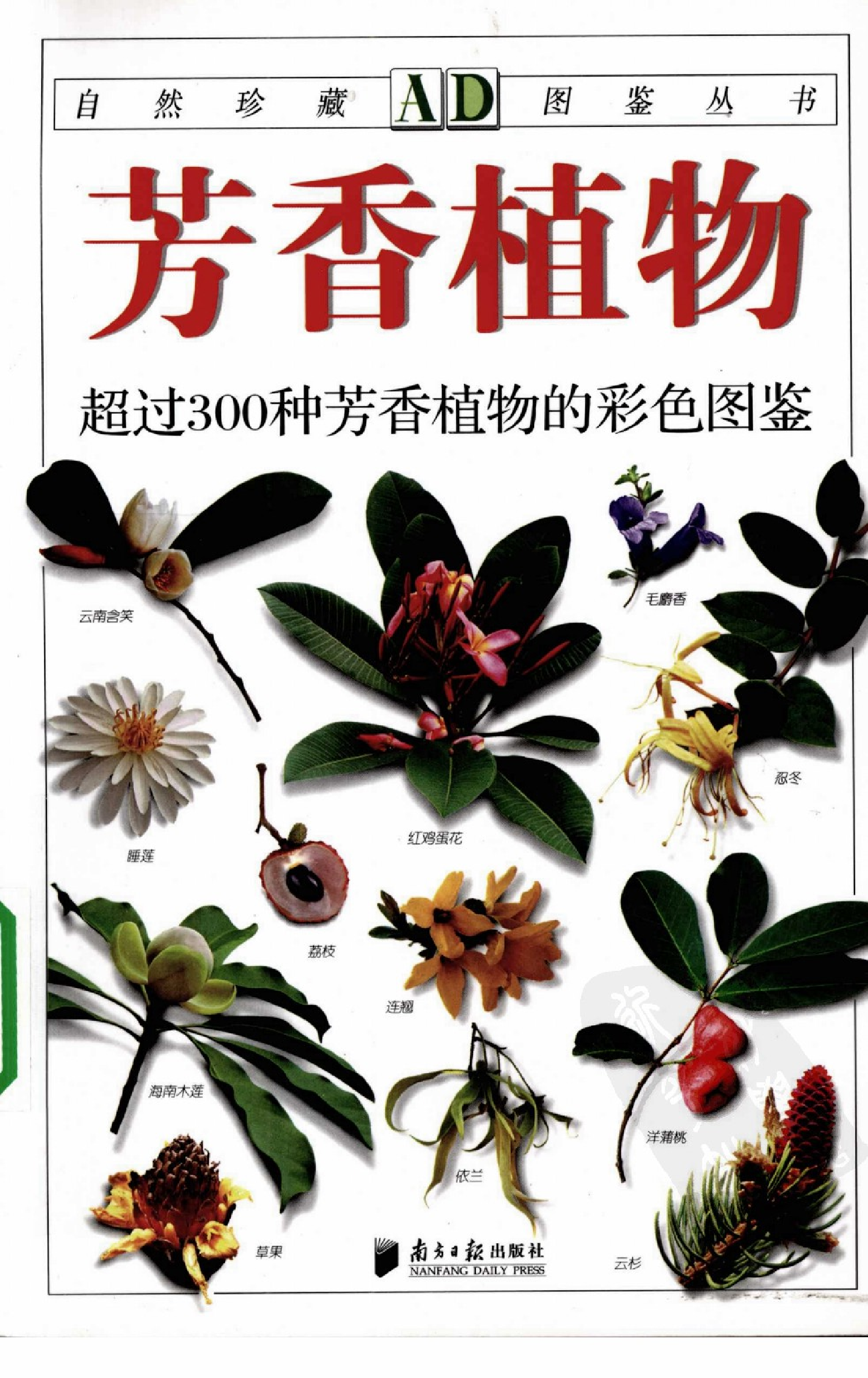 自然珍藏图鉴丛书·芳香植物：超过300种芳香植物的彩色图鉴.pdf 第1页