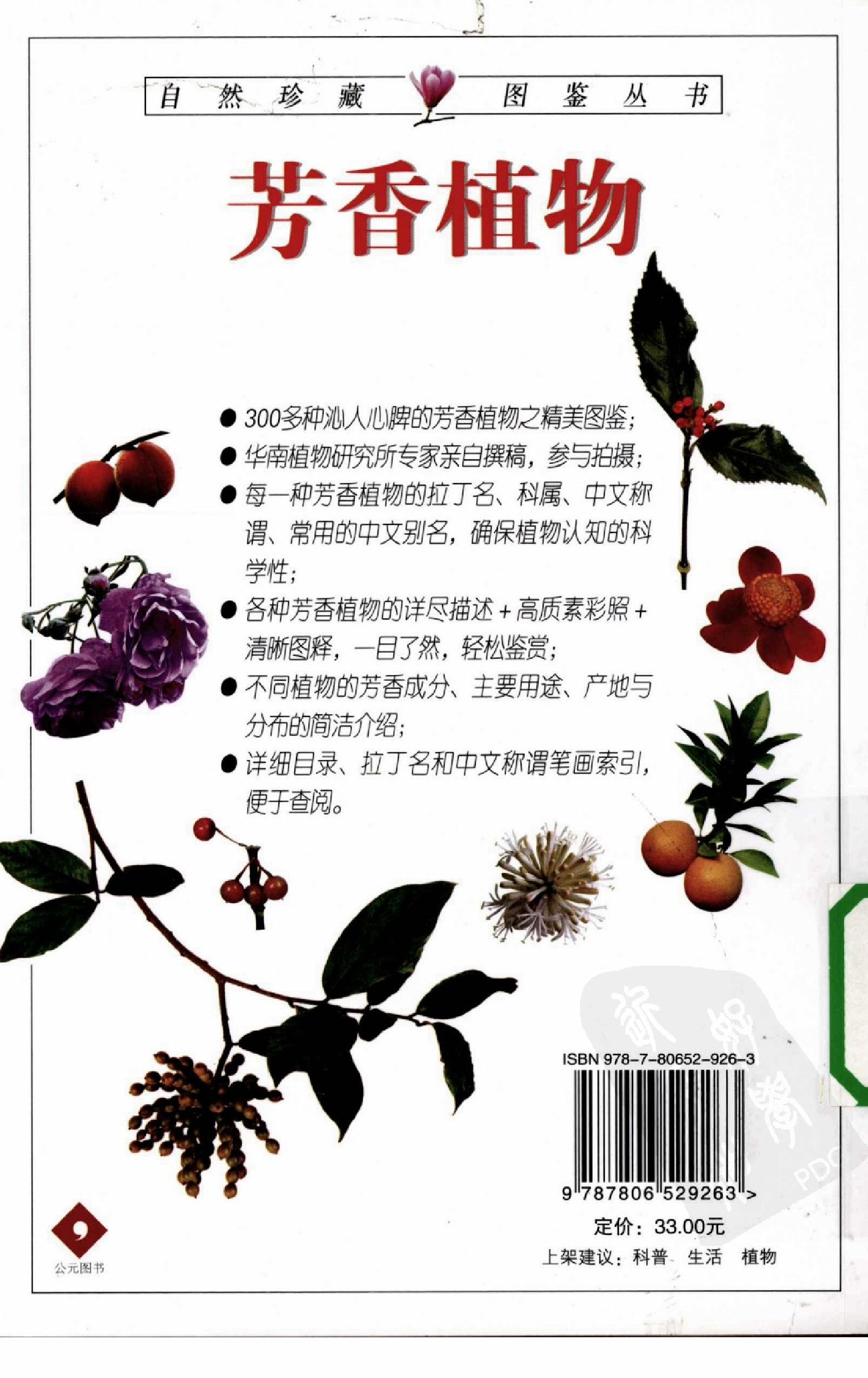 自然珍藏图鉴丛书·芳香植物：超过300种芳香植物的彩色图鉴.pdf 第3页