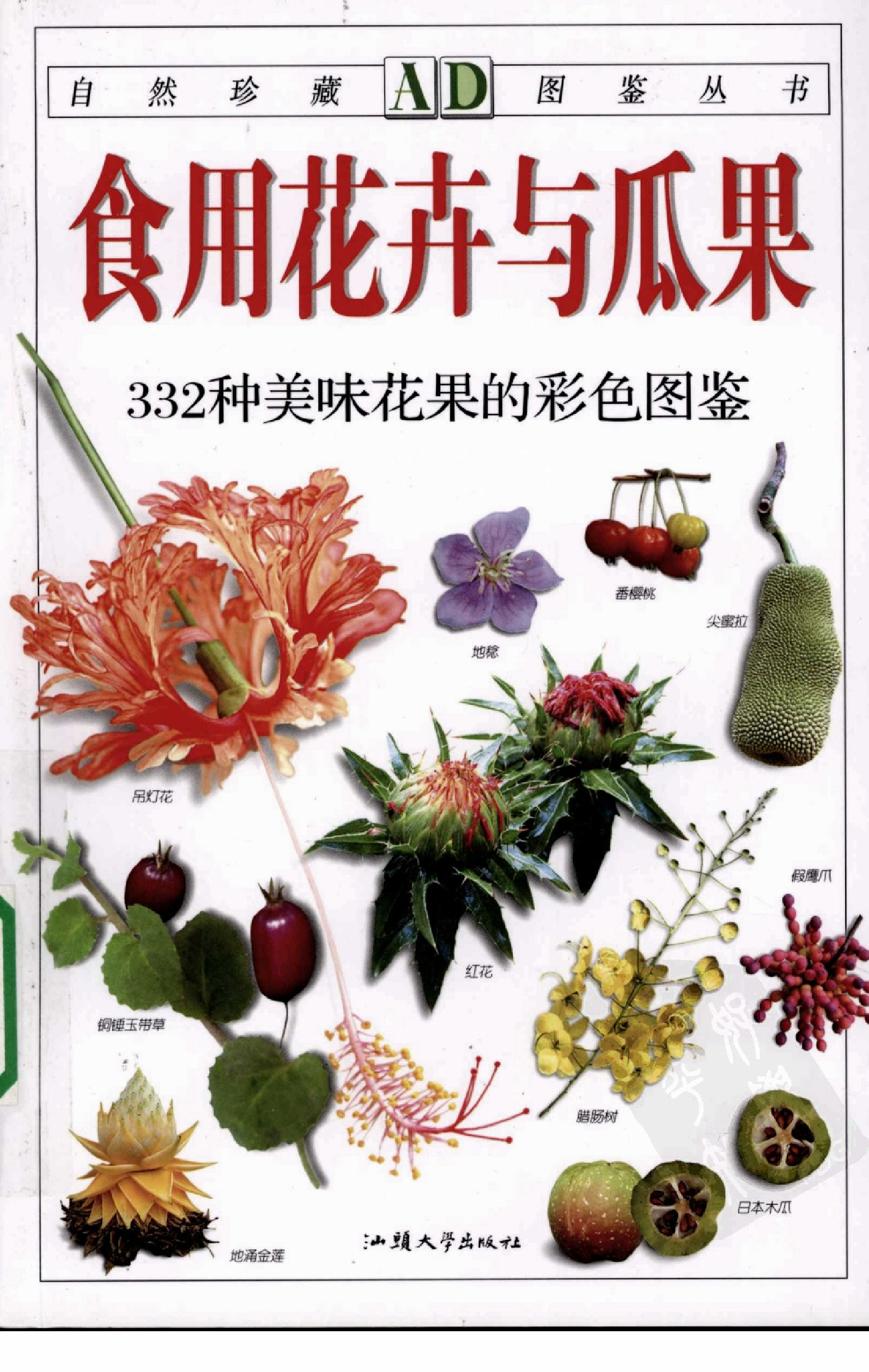 自然珍藏图鉴丛书·食用花卉与瓜果：332种美味花果的彩色图鉴.pdf 第1页