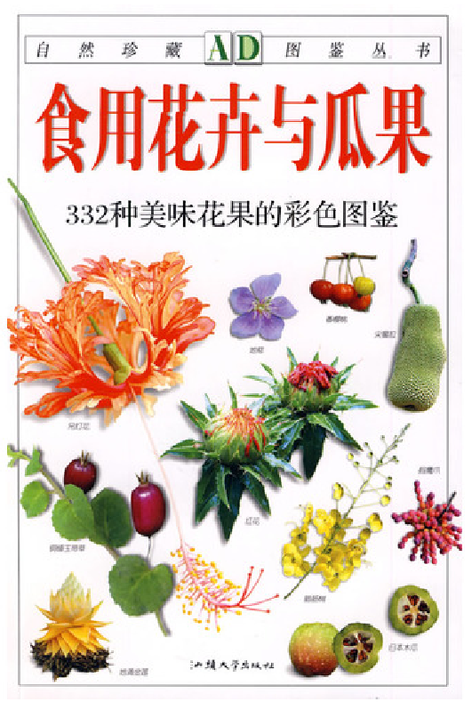 自然珍藏图鉴丛书·食用花卉与瓜果：332种美味花果的彩色图鉴.pdf 第2页