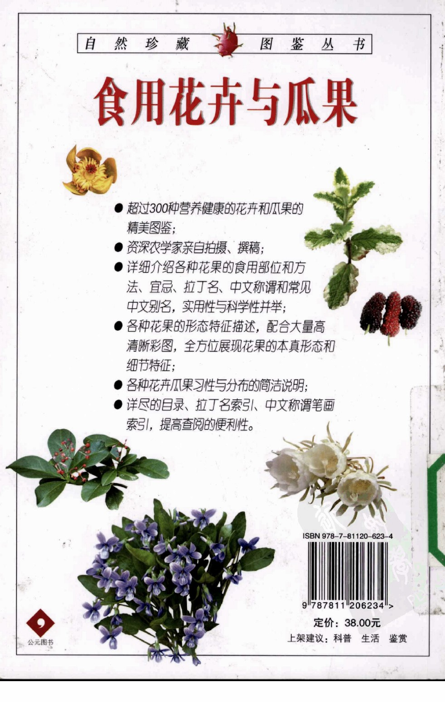 自然珍藏图鉴丛书·食用花卉与瓜果：332种美味花果的彩色图鉴.pdf 第3页