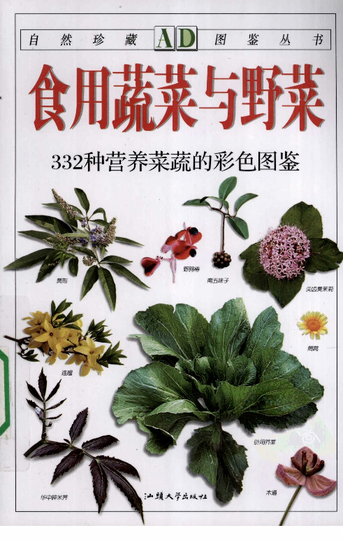 自然珍藏图鉴丛书·食用蔬菜与野菜：332种营养菜蔬的彩色图鉴.pdf 第1页