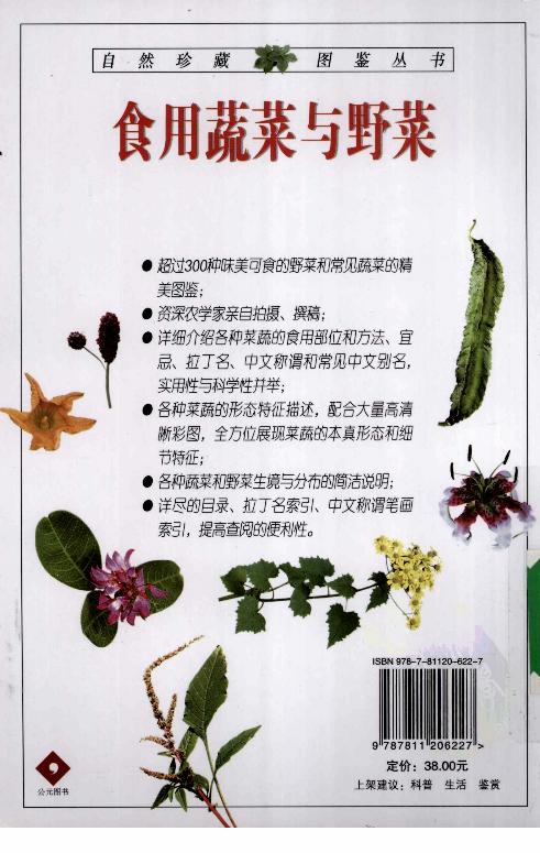 自然珍藏图鉴丛书·食用蔬菜与野菜：332种营养菜蔬的彩色图鉴.pdf 第2页
