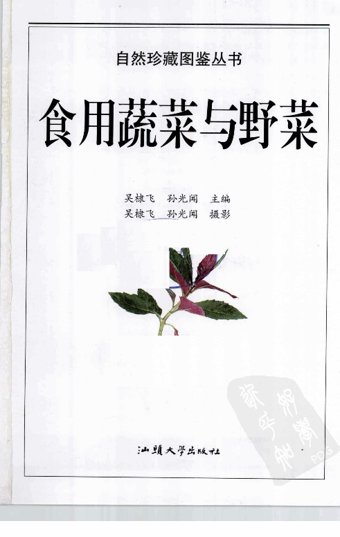自然珍藏图鉴丛书·食用蔬菜与野菜：332种营养菜蔬的彩色图鉴.pdf 第3页
