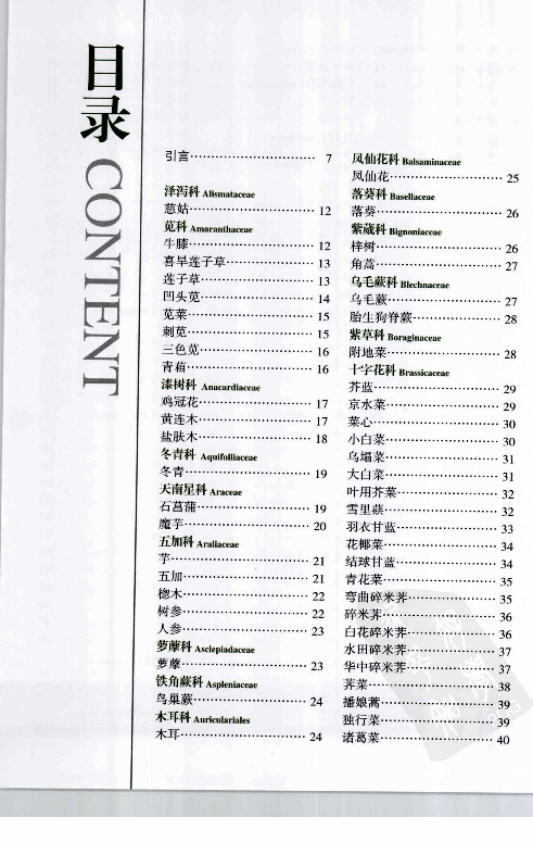 自然珍藏图鉴丛书·食用蔬菜与野菜：332种营养菜蔬的彩色图鉴.pdf 第5页