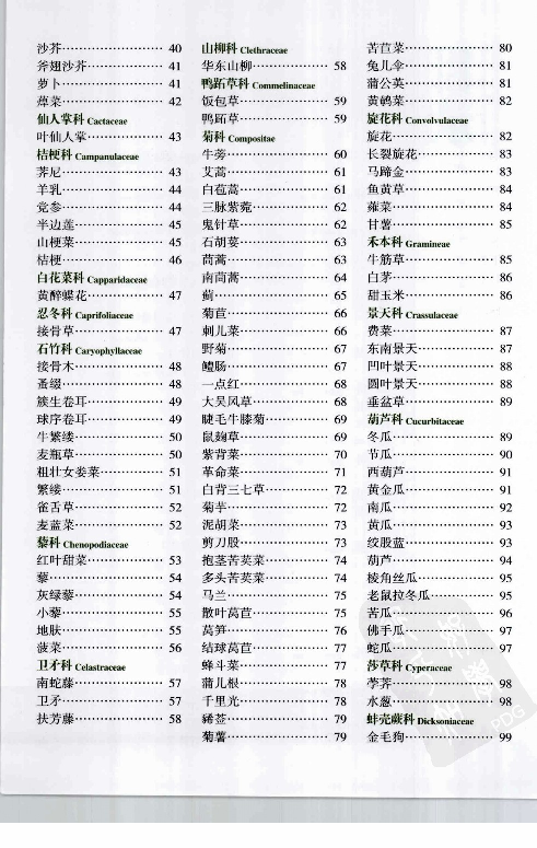 自然珍藏图鉴丛书·食用蔬菜与野菜：332种营养菜蔬的彩色图鉴.pdf 第6页