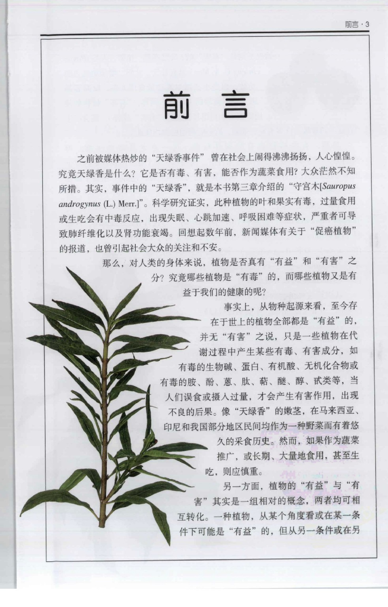 自然珍藏图鉴丛书·有害植物：近200种有害植物的彩色图鉴.pdf 第6页