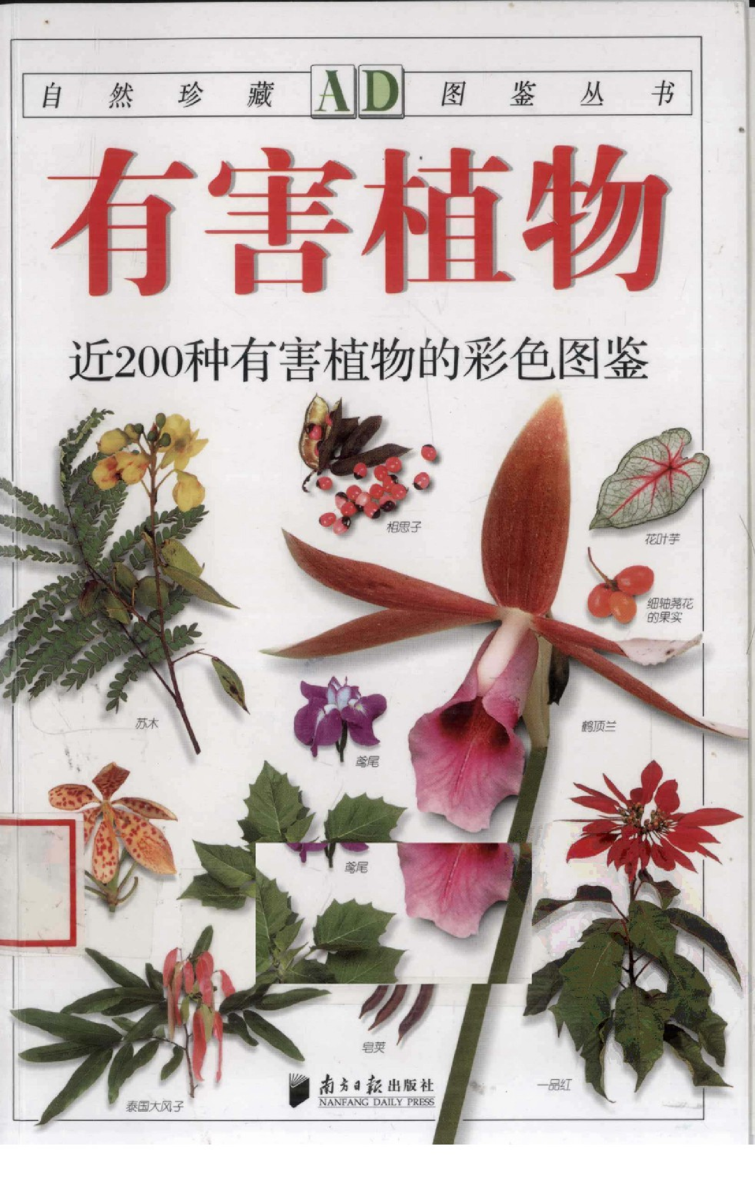 [有害植物：近200种有害植物的彩色图鉴].林有润.全彩版.pdf 第1页
