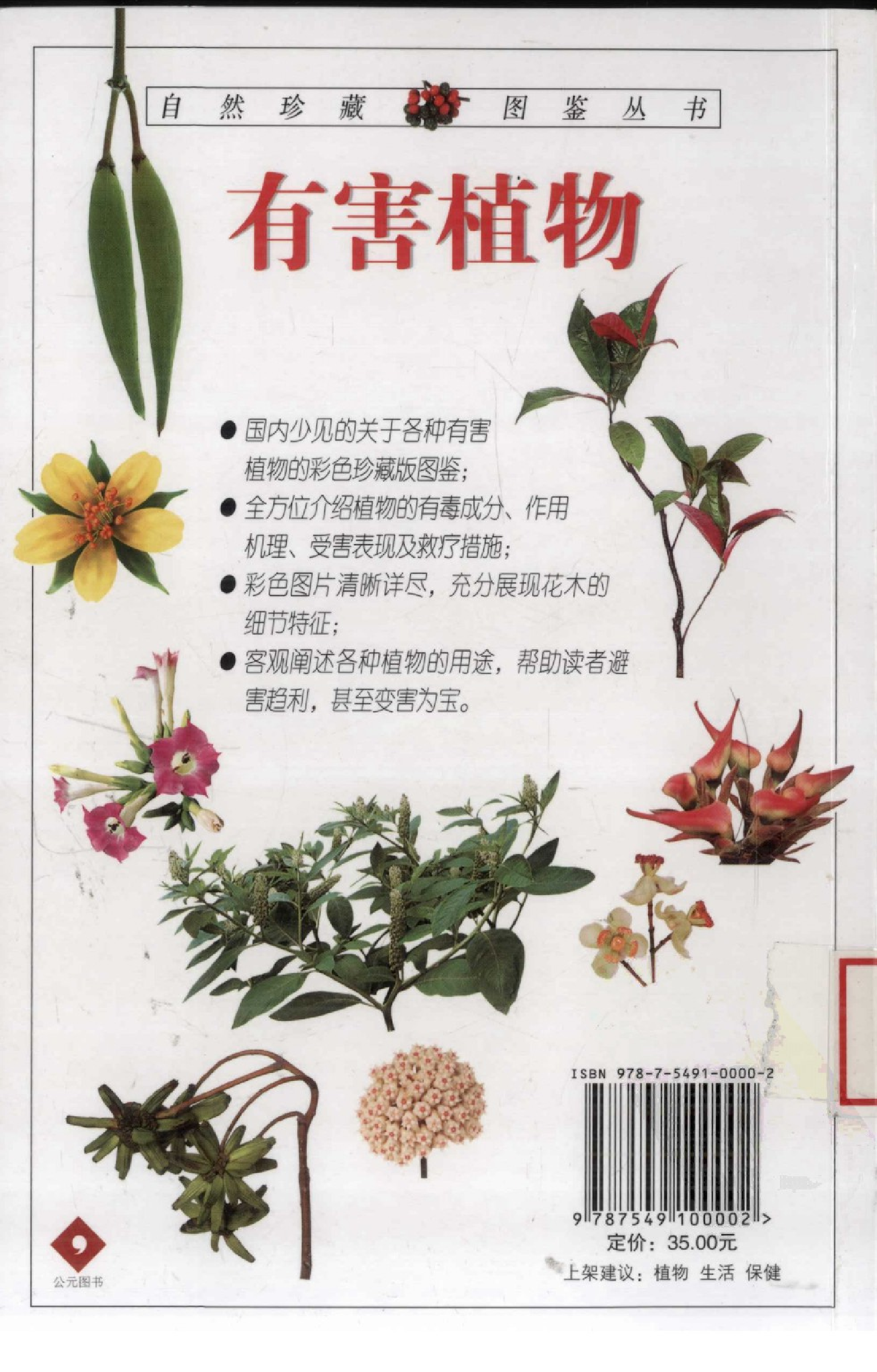 [有害植物：近200种有害植物的彩色图鉴].林有润.全彩版.pdf 第3页