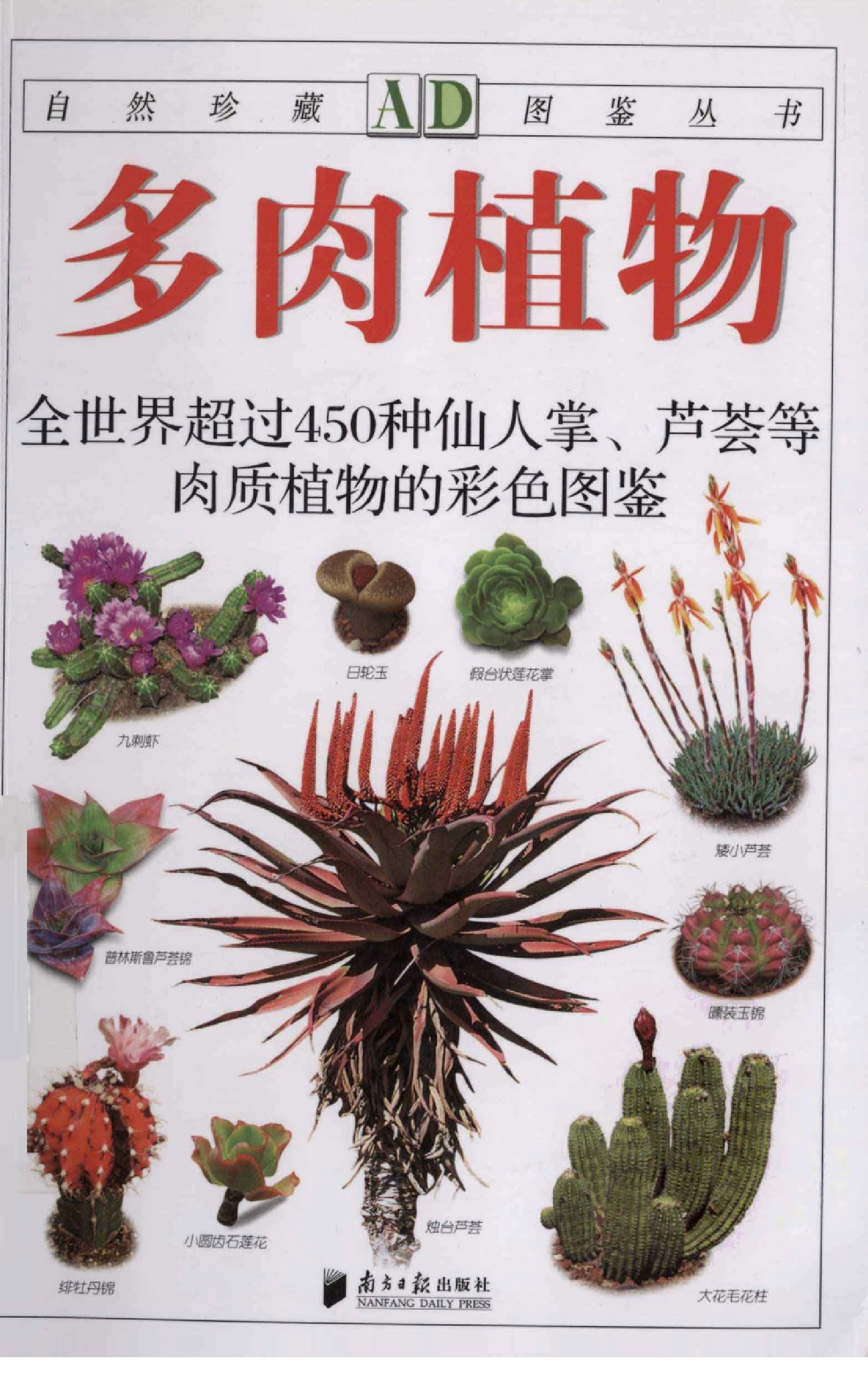 自然珍藏图鉴丛书·多肉植物：全世界超过450种仙人掌、芦荟等肉质植物的彩色图鉴.pdf 第1页