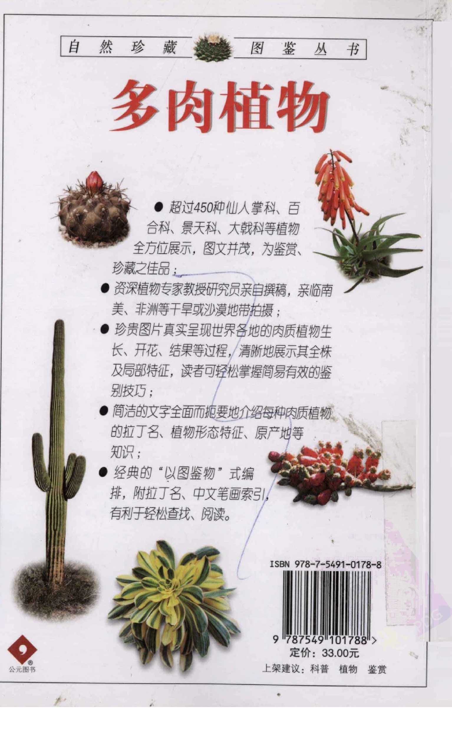 自然珍藏图鉴丛书·多肉植物：全世界超过450种仙人掌、芦荟等肉质植物的彩色图鉴.pdf 第2页
