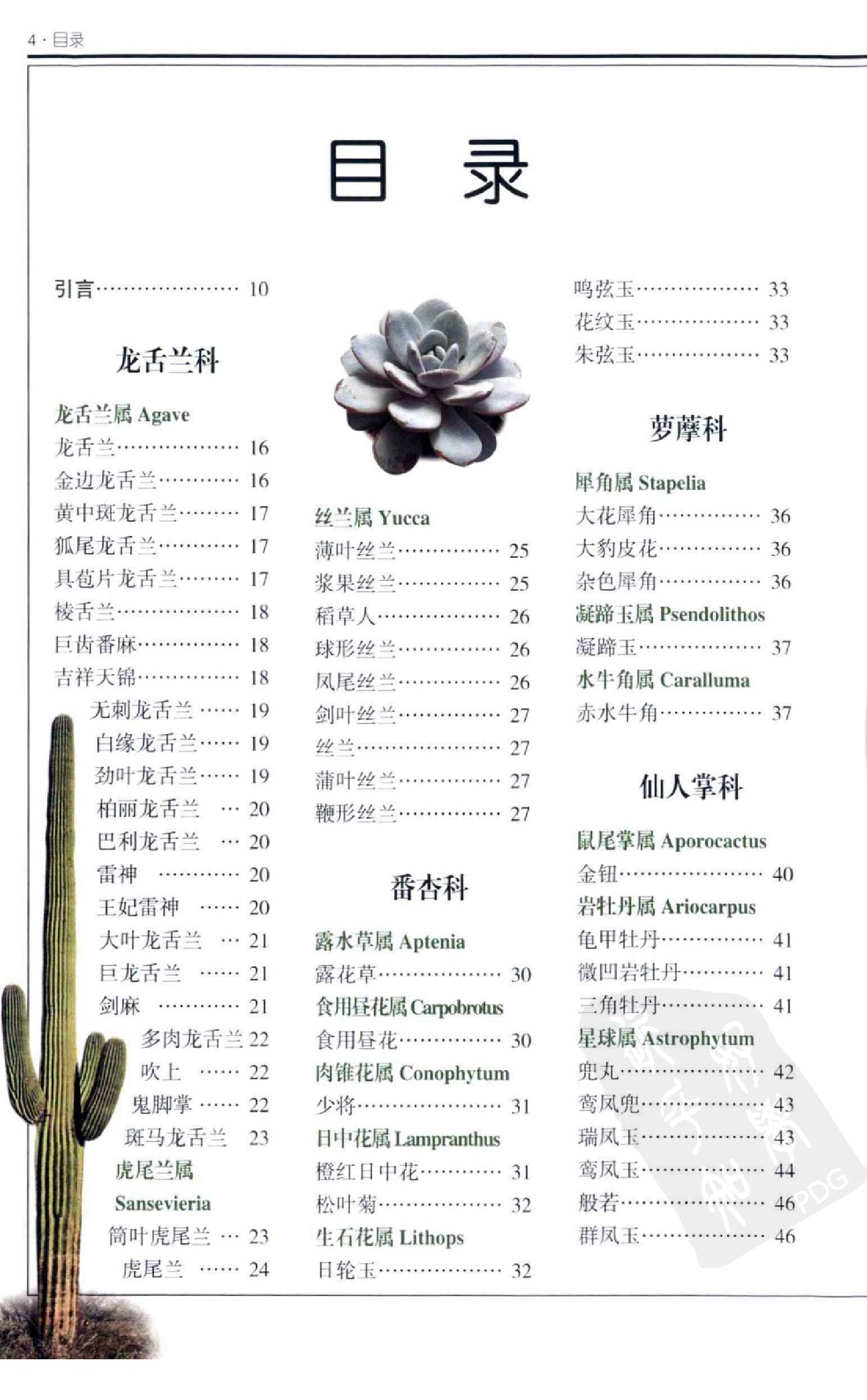 自然珍藏图鉴丛书·多肉植物：全世界超过450种仙人掌、芦荟等肉质植物的彩色图鉴.pdf 第6页