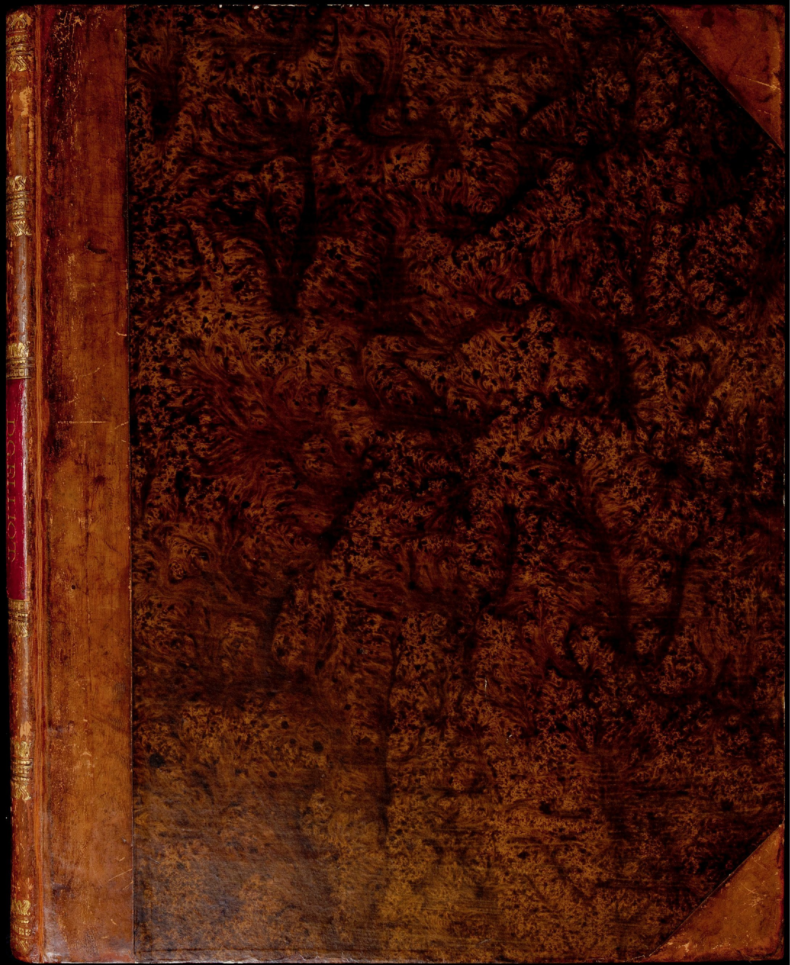 猫科动物图鉴1883年.pdf 第1页