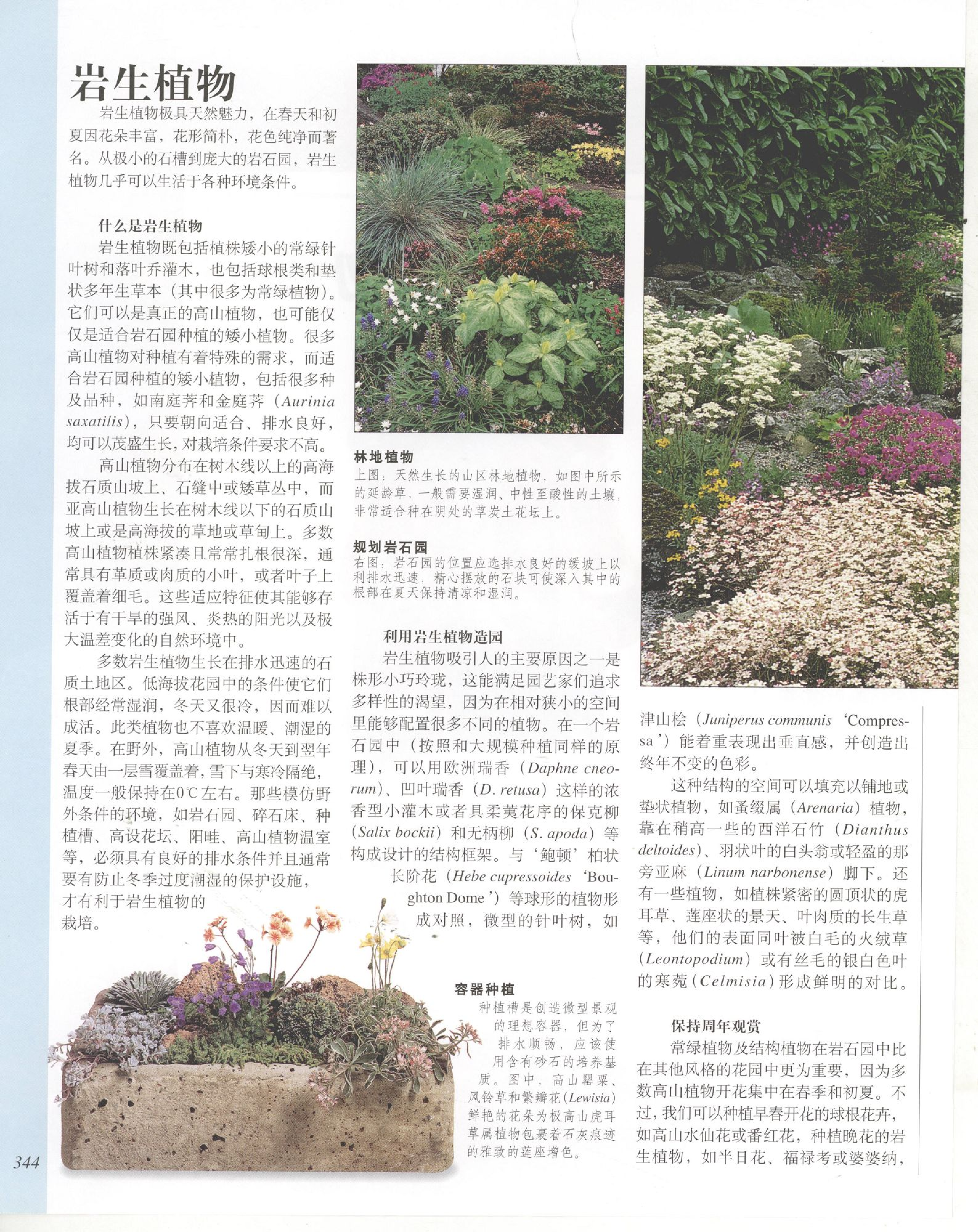 世界园林植物与花卉百科全书.8岩生植物.pdf 第2页