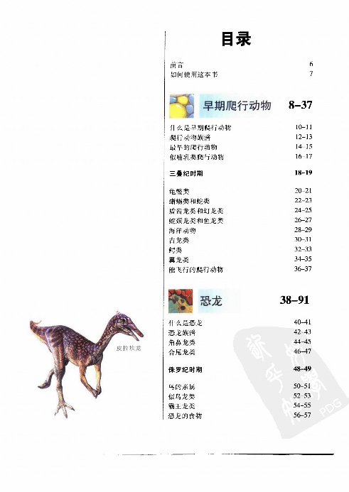 [世界恐龙大百科].(英)吉尼.约翰逊.扫描版.pdf 第6页